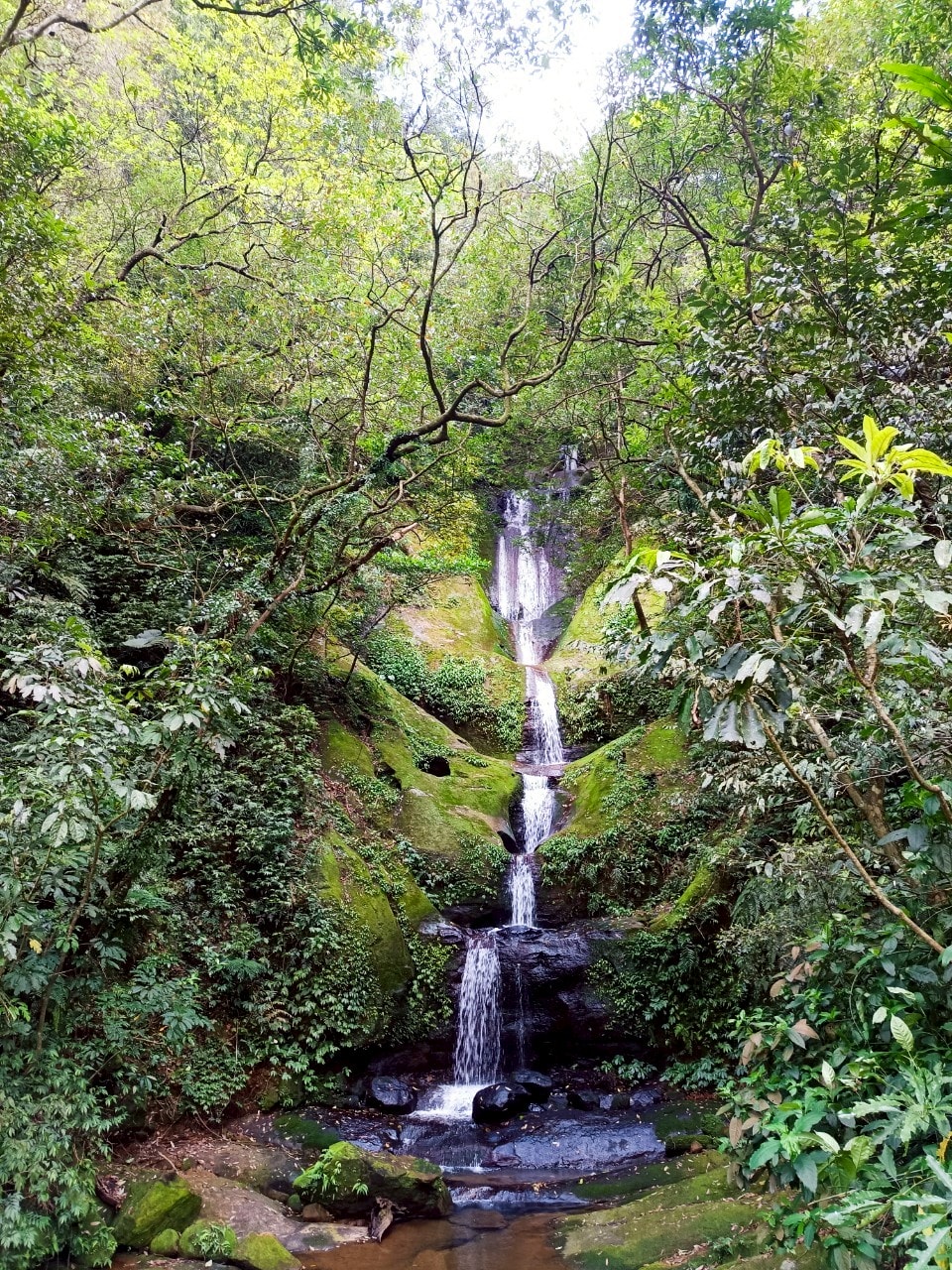 平溪線古道┃鐵道旅行 三貂嶺走到大華幼坑古道 近距離拍平溪線火車 雙腳感受山林和鐵道