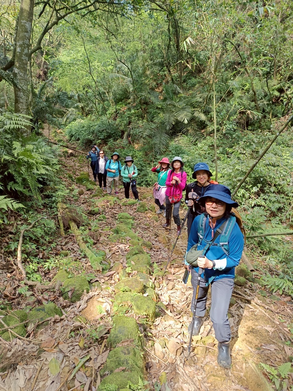 平溪線古道┃鐵道旅行 三貂嶺走到大華幼坑古道 近距離拍平溪線火車 雙腳感受山林和鐵道