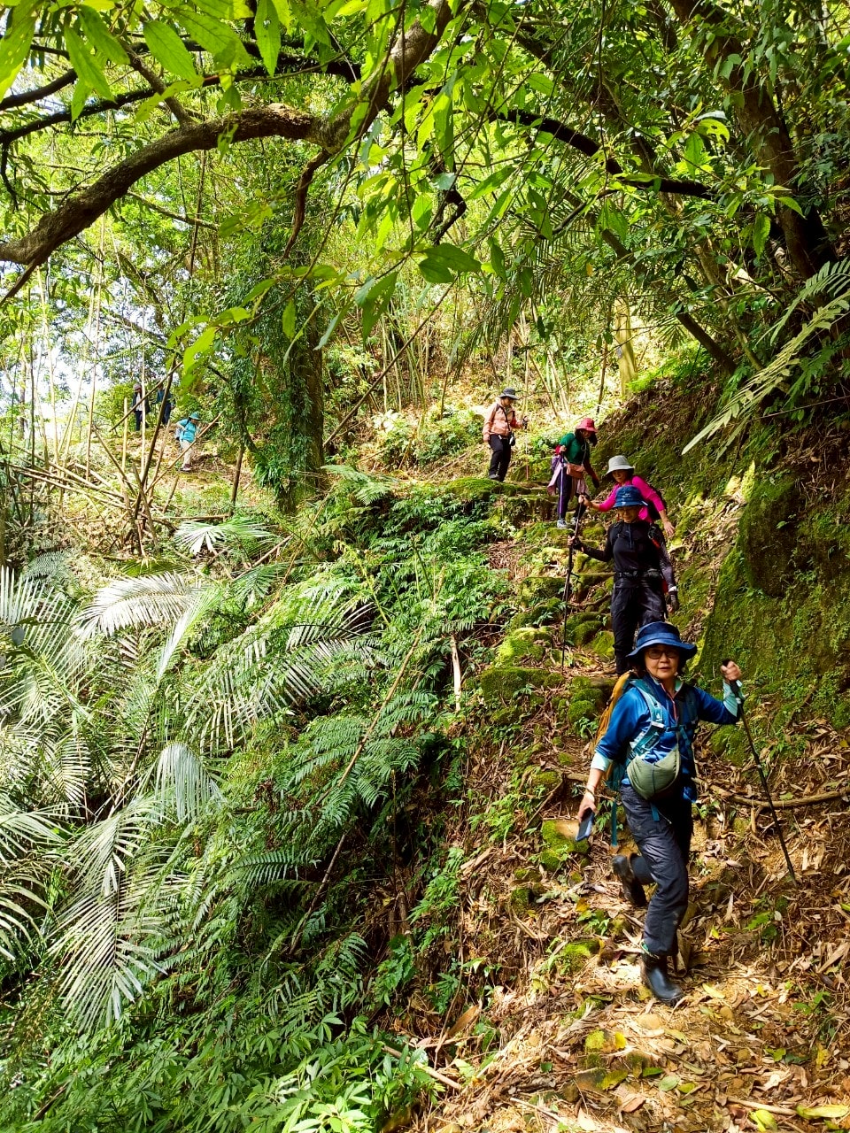 平溪線古道┃鐵道旅行 三貂嶺走到大華幼坑古道 近距離拍平溪線火車 雙腳感受山林和鐵道