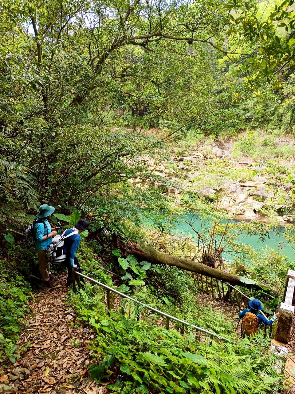 平溪線古道┃鐵道旅行 三貂嶺走到大華幼坑古道 近距離拍平溪線火車 雙腳感受山林和鐵道