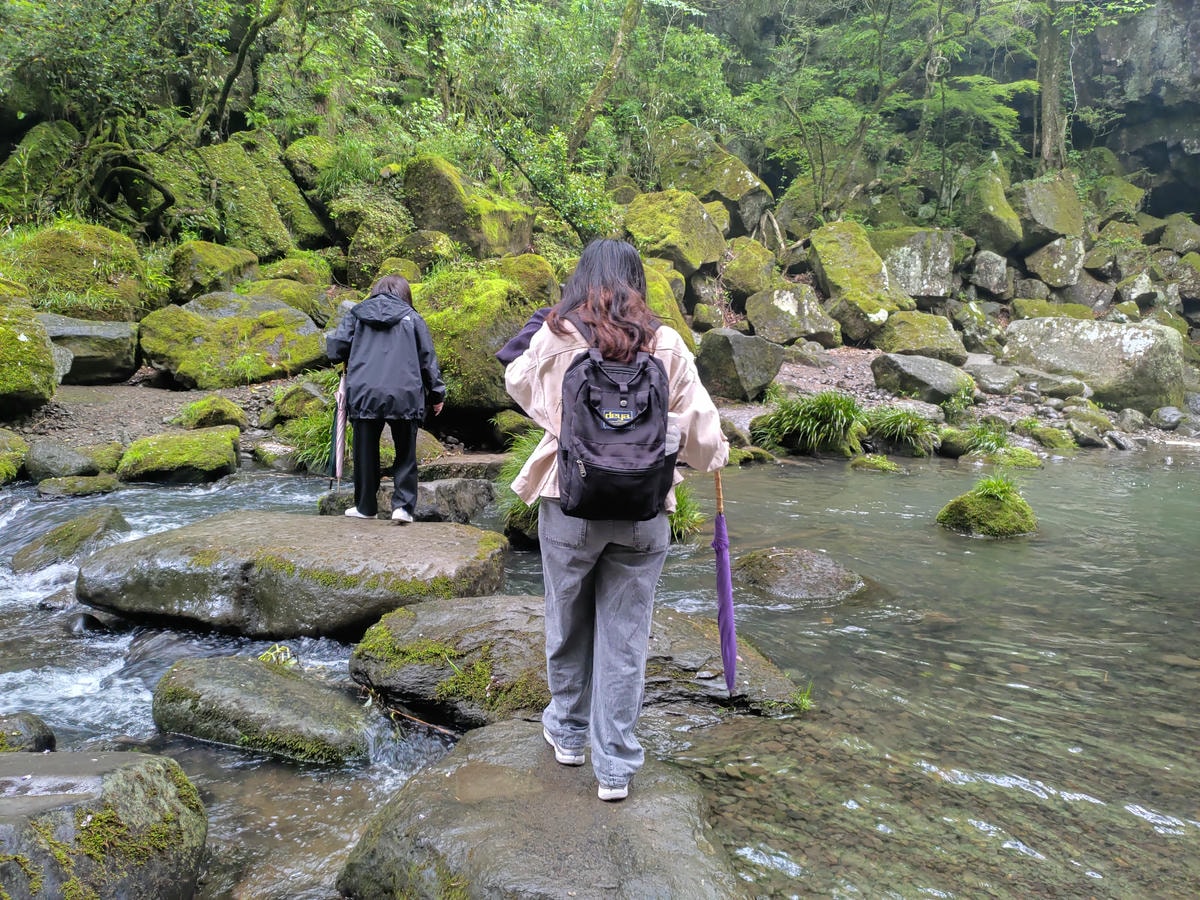 熊本景點┃熊本必訪!水面簾幕猛烈湍急「鍋瀑布」阿蘇小國町大自然藝術品阿蘇自由行 熊本自駕 - 第12張圖 熊本景點┃熊本必訪!水面簾幕猛烈湍急「鍋瀑布」阿蘇小國町大自然藝術品阿蘇自由行 熊本自駕