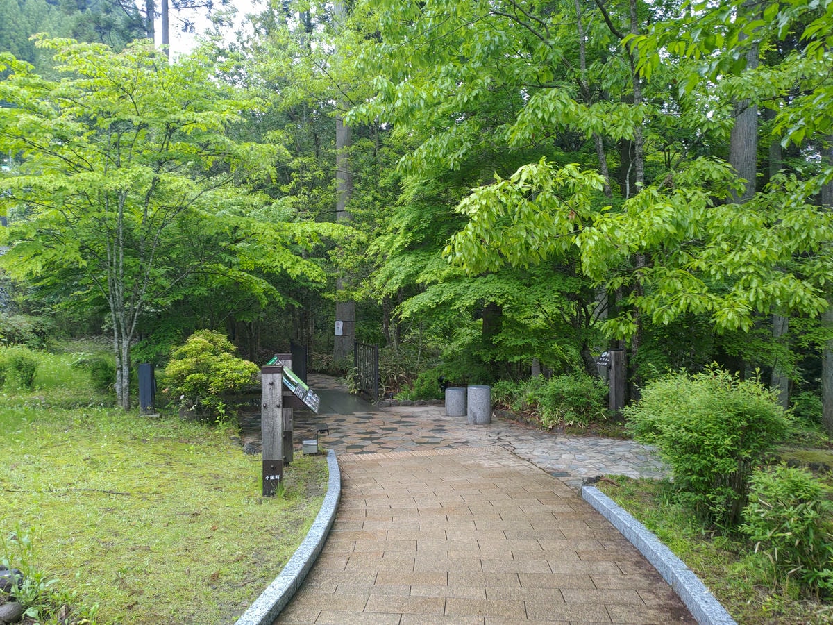 熊本景點┃熊本必訪!水面簾幕猛烈湍急「鍋瀑布」阿蘇小國町大自然藝術品阿蘇自由行 熊本自駕 - 第5張圖 熊本景點┃熊本必訪!水面簾幕猛烈湍急「鍋瀑布」阿蘇小國町大自然藝術品阿蘇自由行 熊本自駕
