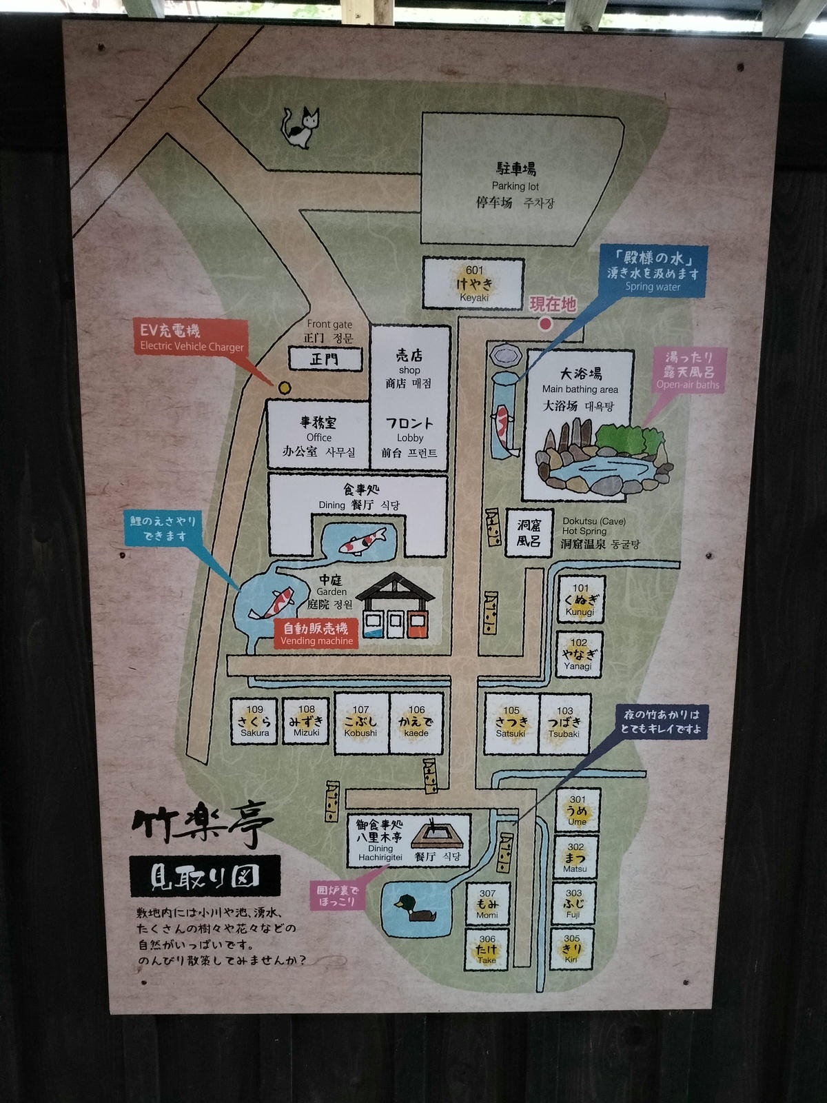 熊本住宿南阿蘇┃一泊二食深山秘湯「竹樂亭」獨棟房露天天然溫泉 日式山居鴨貓共生 竹林星空 熊本自駕推薦住宿 - 第7張圖 熊本住宿南阿蘇┃一泊二食深山秘湯「竹樂亭」獨棟房露天天然溫泉 日式山居鴨貓共生 竹林星空 熊本自駕推薦住宿