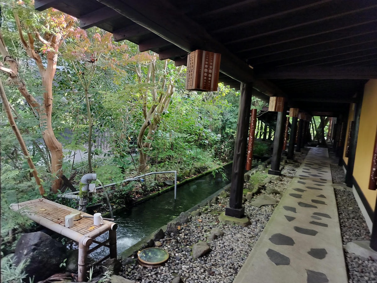 熊本住宿南阿蘇┃一泊二食深山秘湯「竹樂亭」獨棟房露天天然溫泉 日式山居鴨貓共生 竹林星空 熊本自駕推薦住宿 - 第5張圖 熊本住宿南阿蘇┃一泊二食深山秘湯「竹樂亭」獨棟房露天天然溫泉 日式山居鴨貓共生 竹林星空 熊本自駕推薦住宿