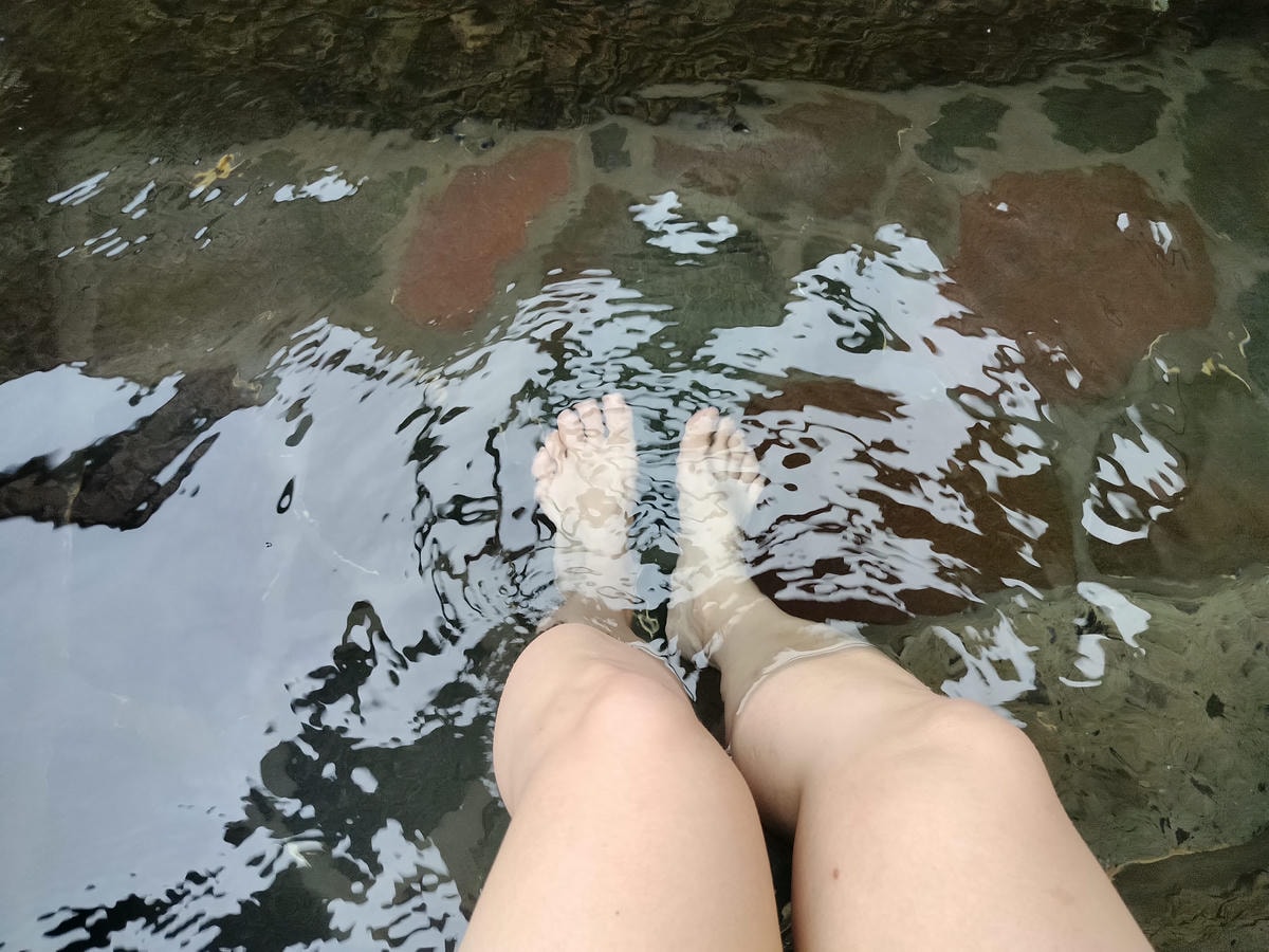 熊本住宿南阿蘇┃一泊二食深山秘湯「竹樂亭」獨棟房露天天然溫泉 日式山居鴨貓共生 竹林星空 熊本自駕推薦住宿 - 第18張圖 熊本住宿南阿蘇┃一泊二食深山秘湯「竹樂亭」獨棟房露天天然溫泉 日式山居鴨貓共生 竹林星空 熊本自駕推薦住宿