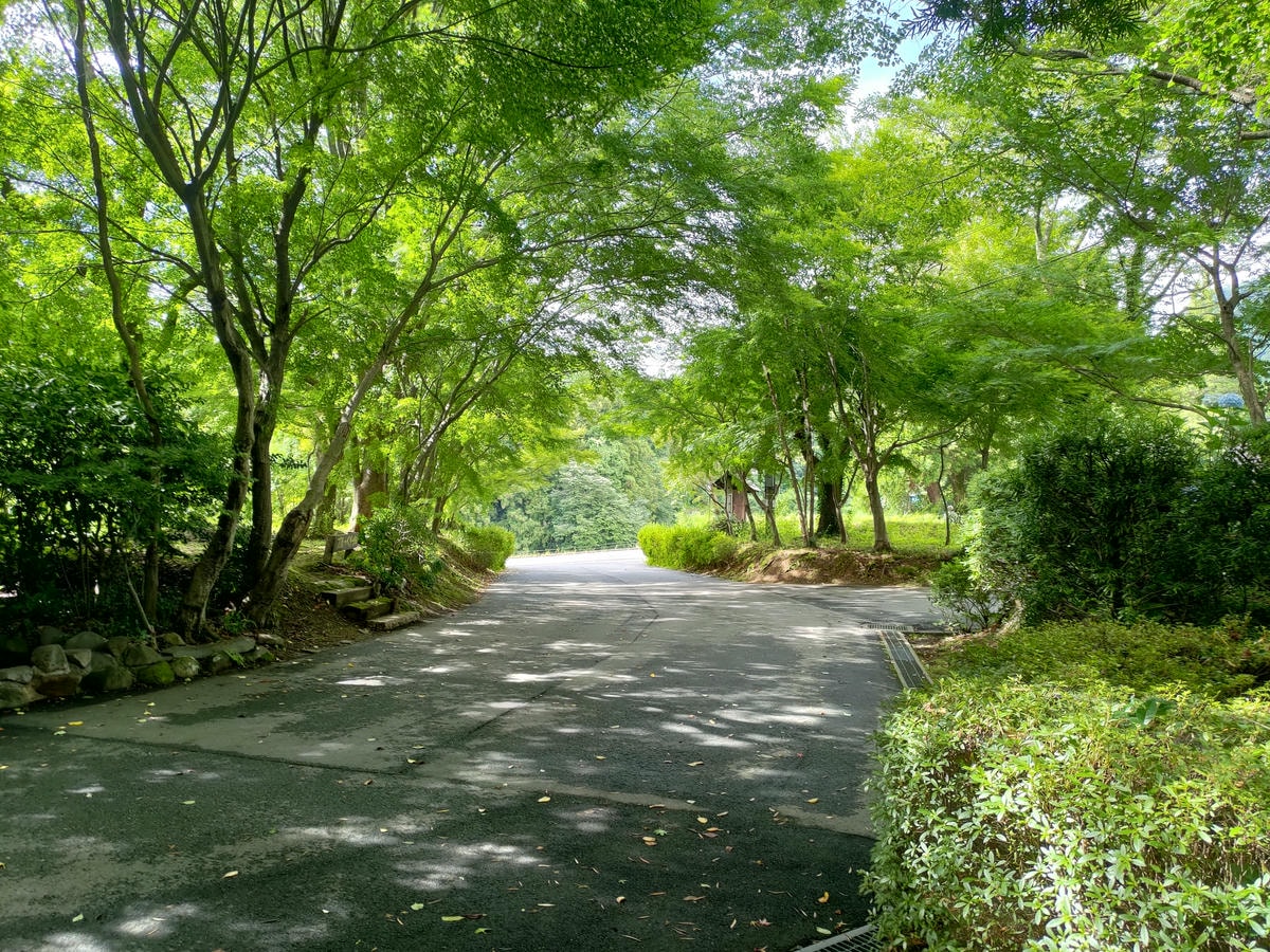熊本住宿南阿蘇┃一泊二食深山秘湯「竹樂亭」獨棟房露天天然溫泉 日式山居鴨貓共生 竹林星空 熊本自駕推薦住宿 - 第52張圖 熊本住宿南阿蘇┃一泊二食深山秘湯「竹樂亭」獨棟房露天天然溫泉 日式山居鴨貓共生 竹林星空 熊本自駕推薦住宿