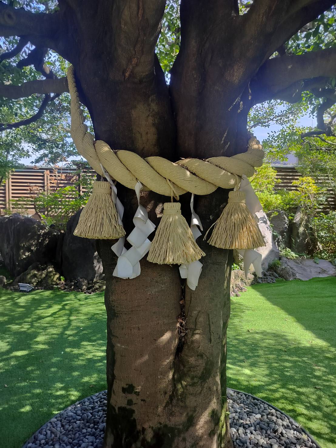 熊本市餐廳┃豪商宅邸古民家「神水茶寮」跳躍進化和食驚豔美味 百年神木豎立幸福 電車健軍校前站 直飛熊本 - 第11張圖 熊本市餐廳┃豪商宅邸古民家「神水茶寮」跳躍進化和食驚豔美味 百年神木豎立幸福 電車健軍校前站 直飛熊本