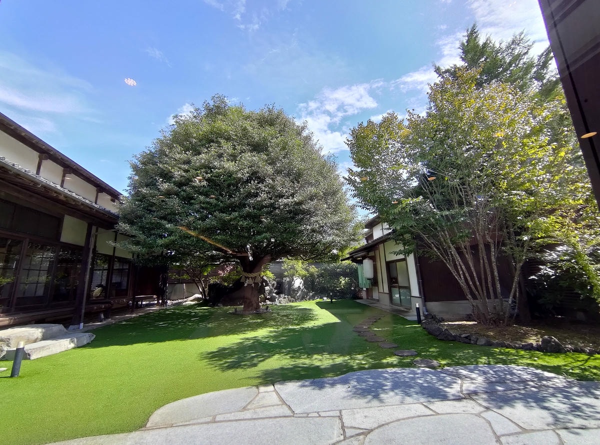 熊本市餐廳┃豪商宅邸古民家「神水茶寮」跳躍進化和食驚豔美味 百年神木豎立幸福 電車健軍校前站 直飛熊本 - 第22張圖 熊本市餐廳┃豪商宅邸古民家「神水茶寮」跳躍進化和食驚豔美味 百年神木豎立幸福 電車健軍校前站 直飛熊本