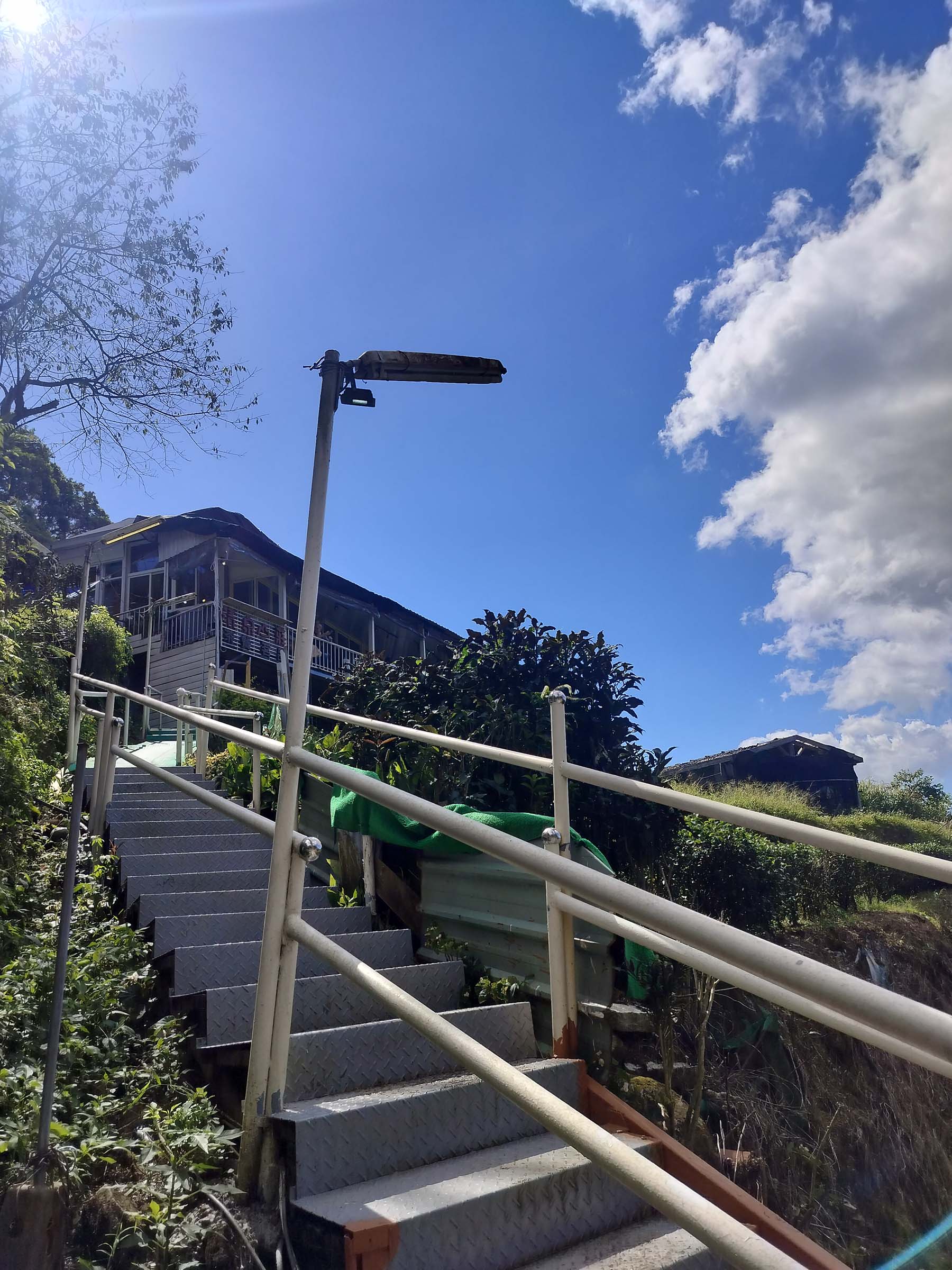 台北散策┃台北空中散歩貓空ロープウェイ(貓空纜車) 「絶景清泉山莊茶葉地鶏料理」台北動物園駅〜貓空駅 台湾旅行台北旅行 - 第20張圖 台北散策┃台北空中散歩貓空ロープウェイ(貓空纜車) 「絶景清泉山莊茶葉地鶏料理」台北動物園駅〜貓空駅 台湾旅行台北旅行