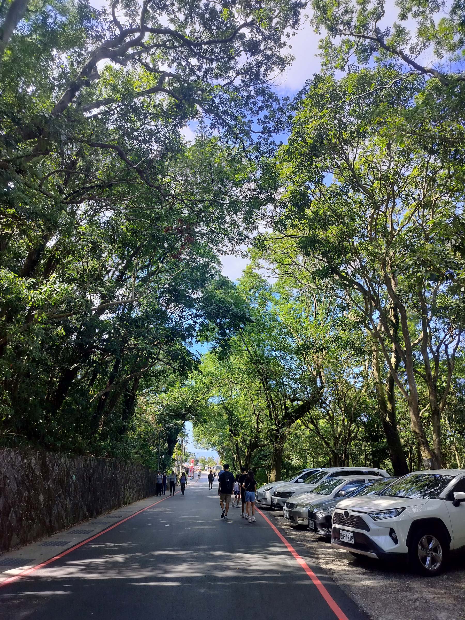 台北散策┃台北空中散歩貓空ロープウェイ(貓空纜車) 「絶景清泉山莊茶葉地鶏料理」台北動物園駅〜貓空駅 台湾旅行台北旅行 - 第17張圖 台北散策┃台北空中散歩貓空ロープウェイ(貓空纜車) 「絶景清泉山莊茶葉地鶏料理」台北動物園駅〜貓空駅 台湾旅行台北旅行