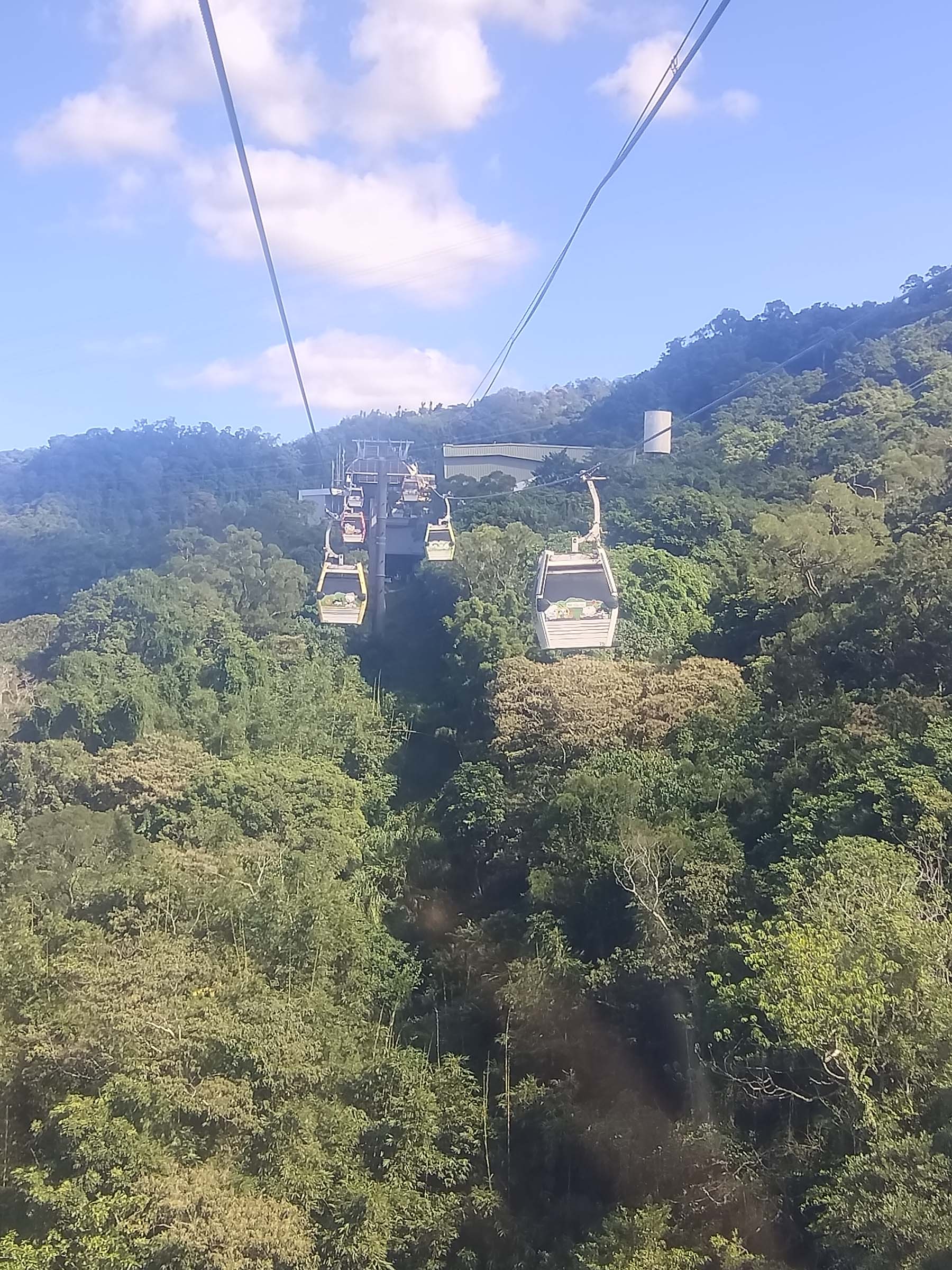 台北散策┃台北空中散歩貓空ロープウェイ(貓空纜車) 「絶景清泉山莊茶葉地鶏料理」台北動物園駅〜貓空駅 台湾旅行台北旅行 - 第12張圖 台北散策┃台北空中散歩貓空ロープウェイ(貓空纜車) 「絶景清泉山莊茶葉地鶏料理」台北動物園駅〜貓空駅 台湾旅行台北旅行