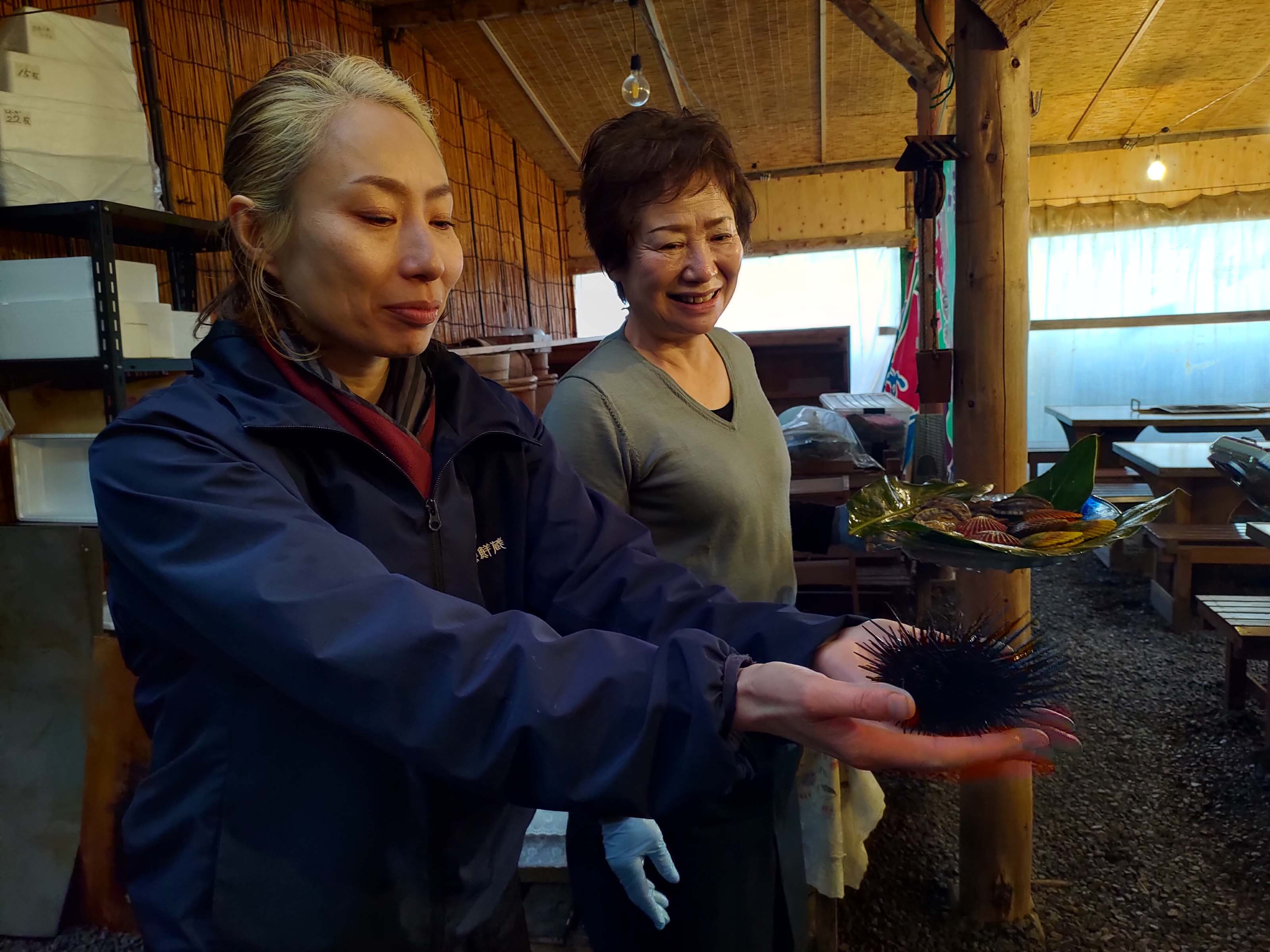 熊本天草┃95%遇見野生海豚跳的好高「天草海豚中心」200多頭超感動!「天草海鮮藏」吃最新鮮的海產 天草自駕 熊本直飛