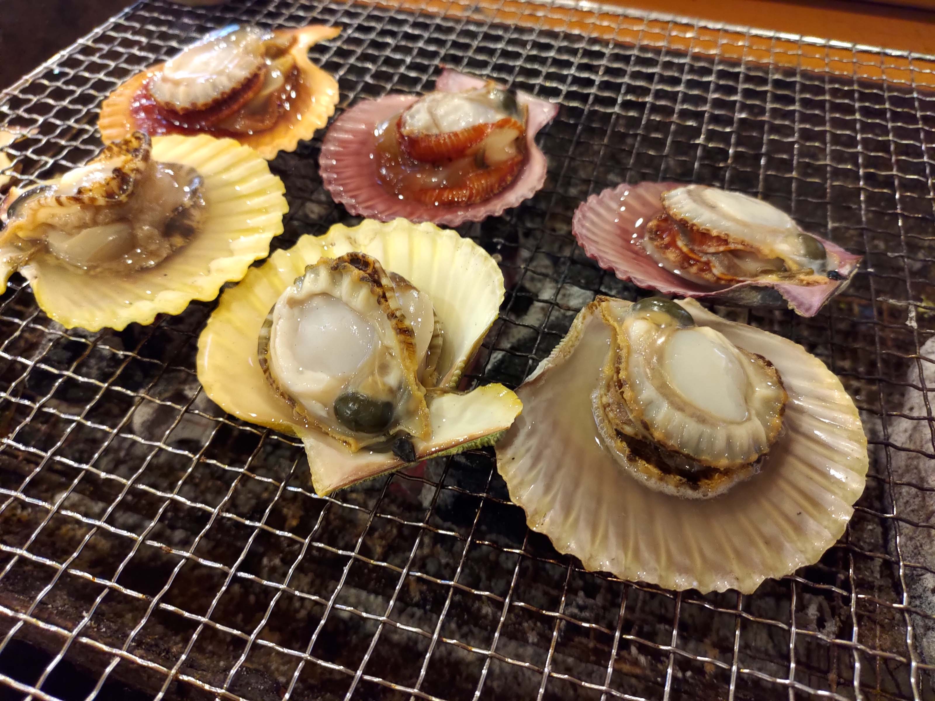 熊本天草┃95%遇見野生海豚跳的好高「天草海豚中心」200多頭超感動!「天草海鮮藏」吃最新鮮的海產 天草自駕 熊本直飛