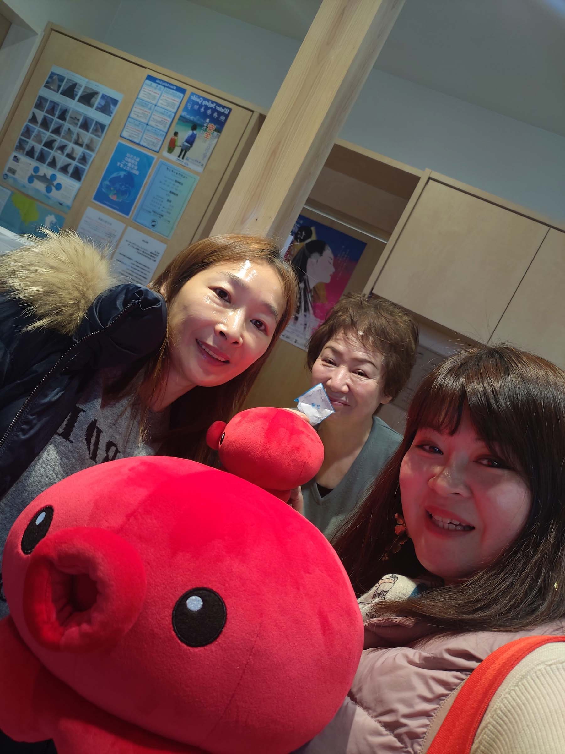 熊本天草┃95%遇見野生海豚跳的好高「天草海豚中心」200多頭超感動!「天草海鮮藏」吃最新鮮的海產 天草自駕 熊本直飛