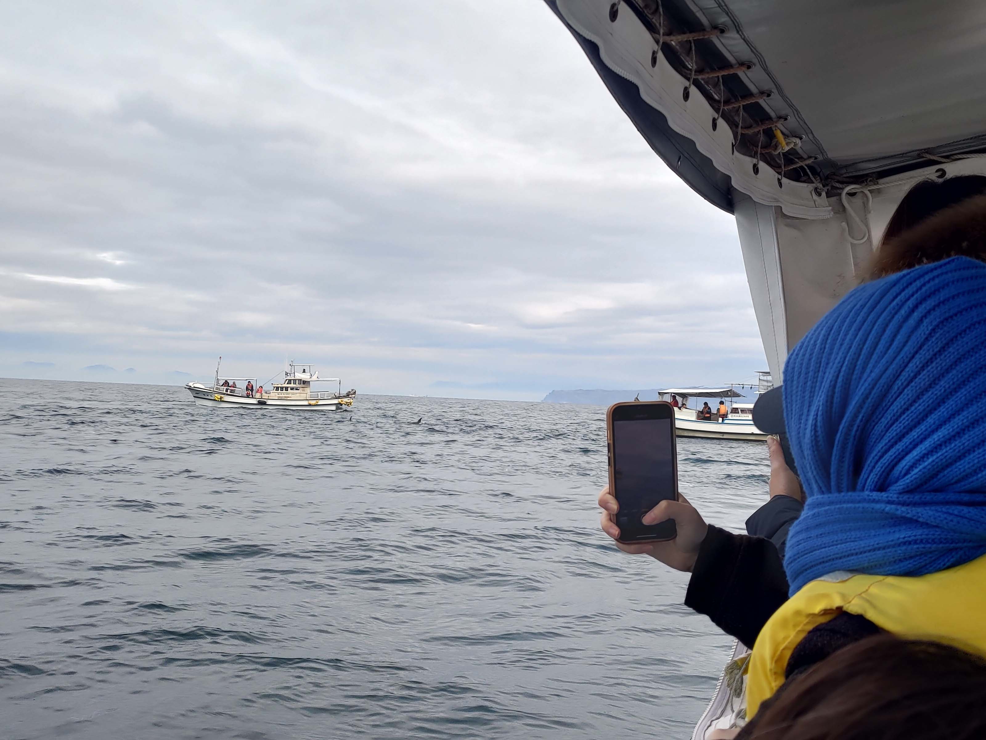 熊本天草┃95%遇見野生海豚跳的好高「天草海豚中心」200多頭超感動!「天草海鮮藏」吃最新鮮的海產 天草自駕 熊本直飛