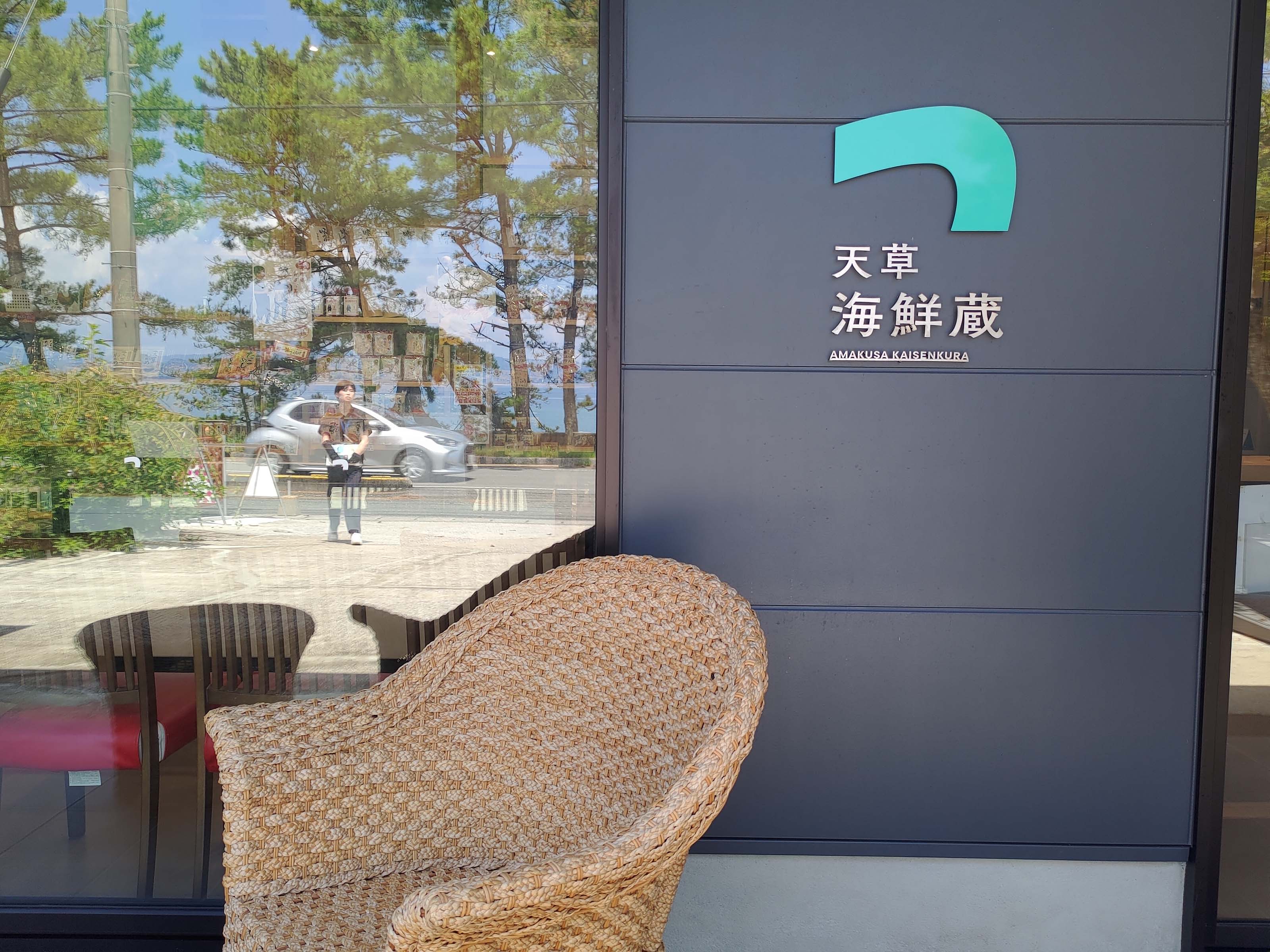 熊本天草┃95%遇見野生海豚跳的好高「天草海豚中心」200多頭超感動!「天草海鮮藏」吃最新鮮的海產 天草自駕 熊本直飛