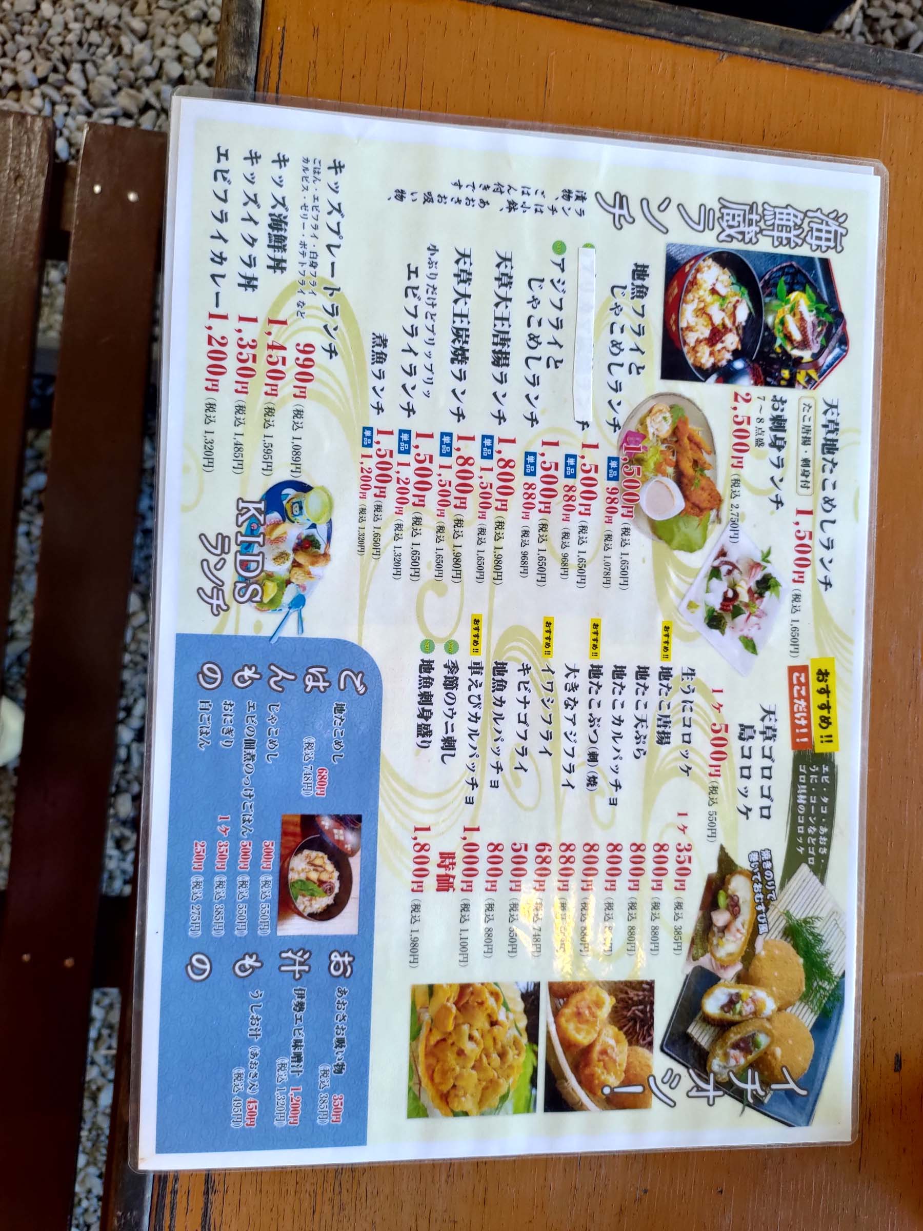 熊本天草┃95%遇見野生海豚跳的好高「天草海豚中心」200多頭超感動!「天草海鮮藏」吃最新鮮的海產 天草自駕 熊本直飛