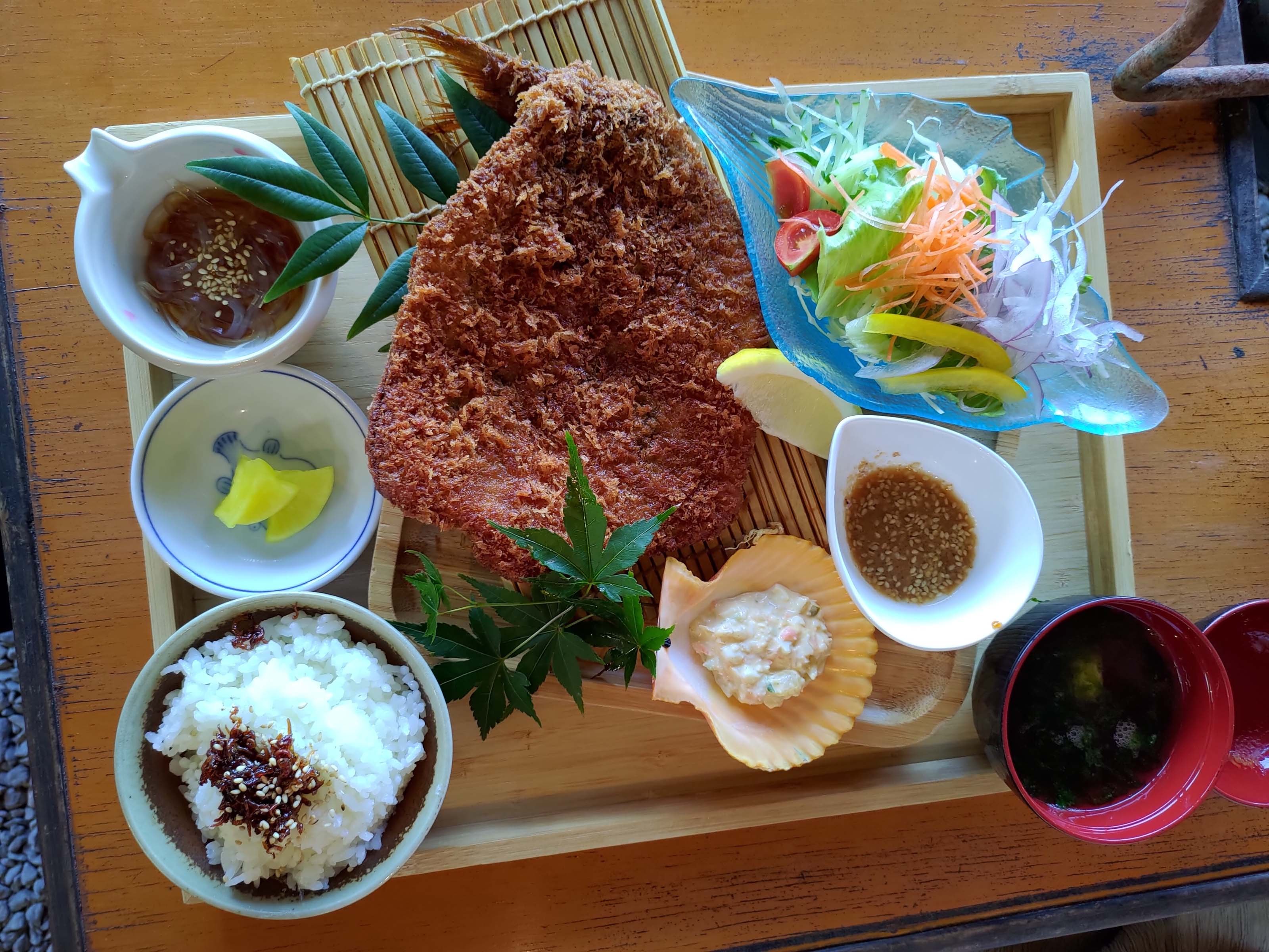 熊本天草┃95%遇見野生海豚跳的好高「天草海豚中心」200多頭超感動!「天草海鮮藏」吃最新鮮的海產 天草自駕 熊本直飛