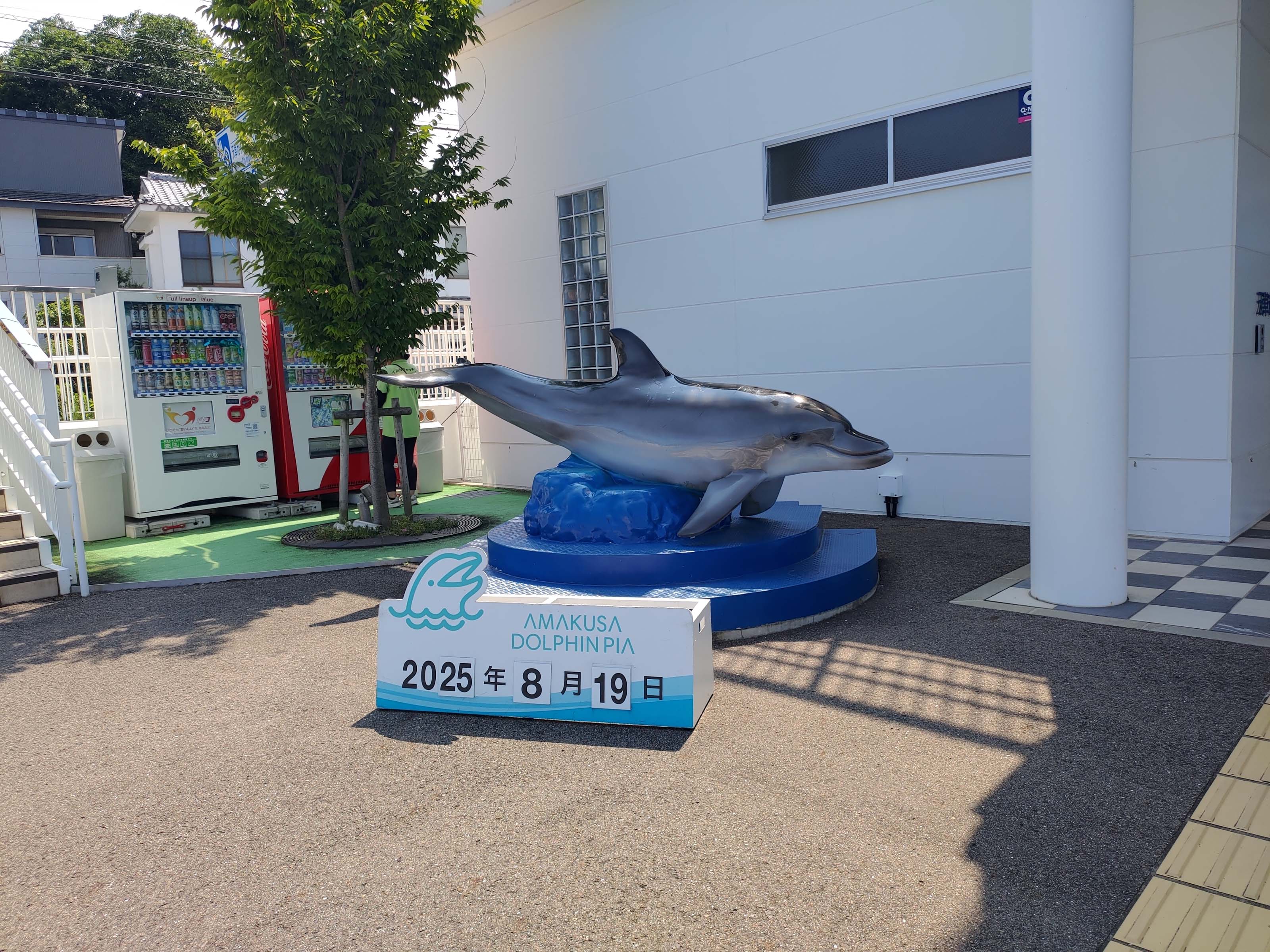 熊本天草┃95%遇見野生海豚跳的好高「天草海豚中心」200多頭超感動!「天草海鮮藏」吃最新鮮的海產 天草自駕 熊本直飛