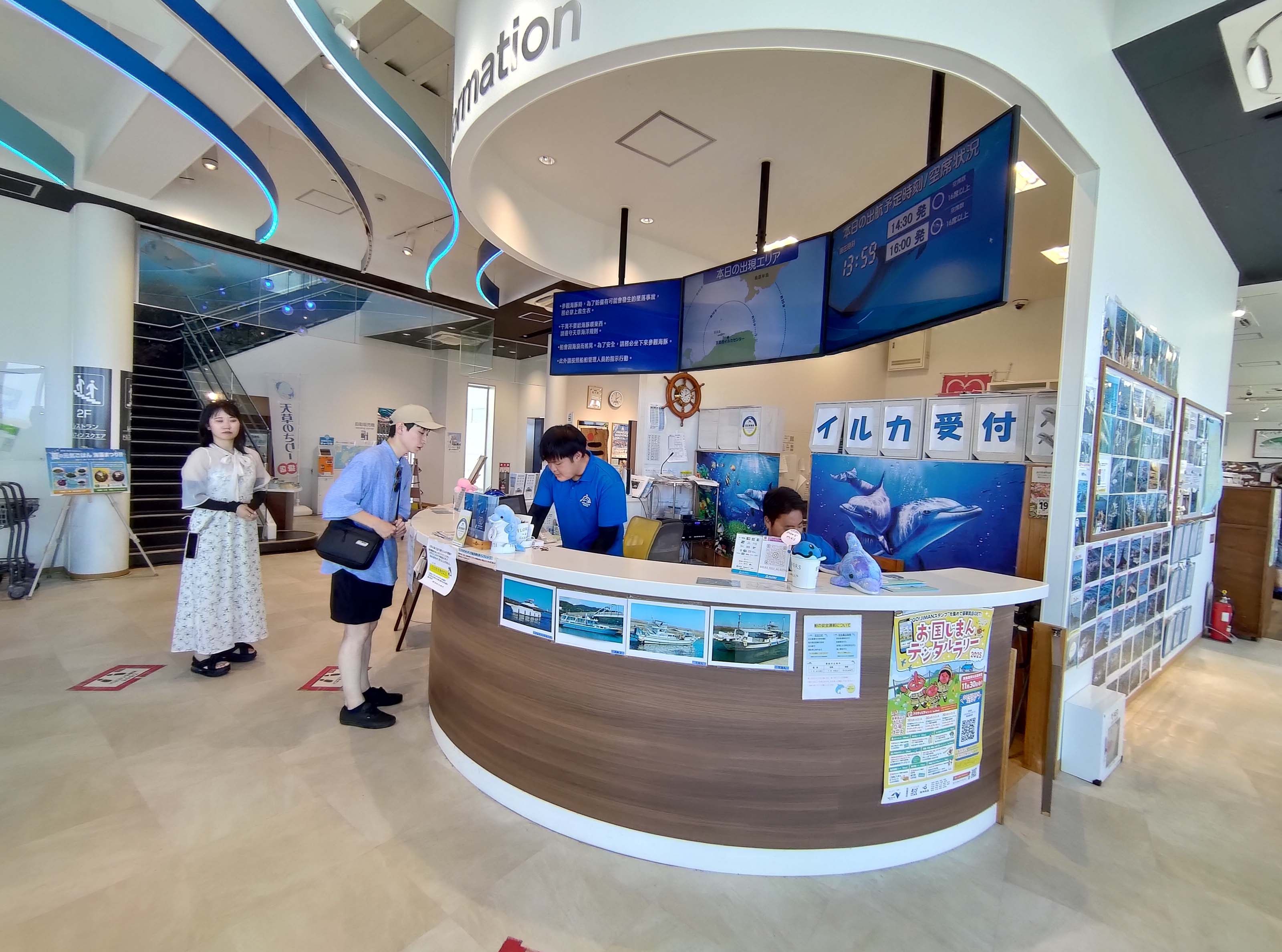 熊本天草┃95%遇見野生海豚跳的好高「天草海豚中心」200多頭超感動!「天草海鮮藏」吃最新鮮的海產 天草自駕 熊本直飛