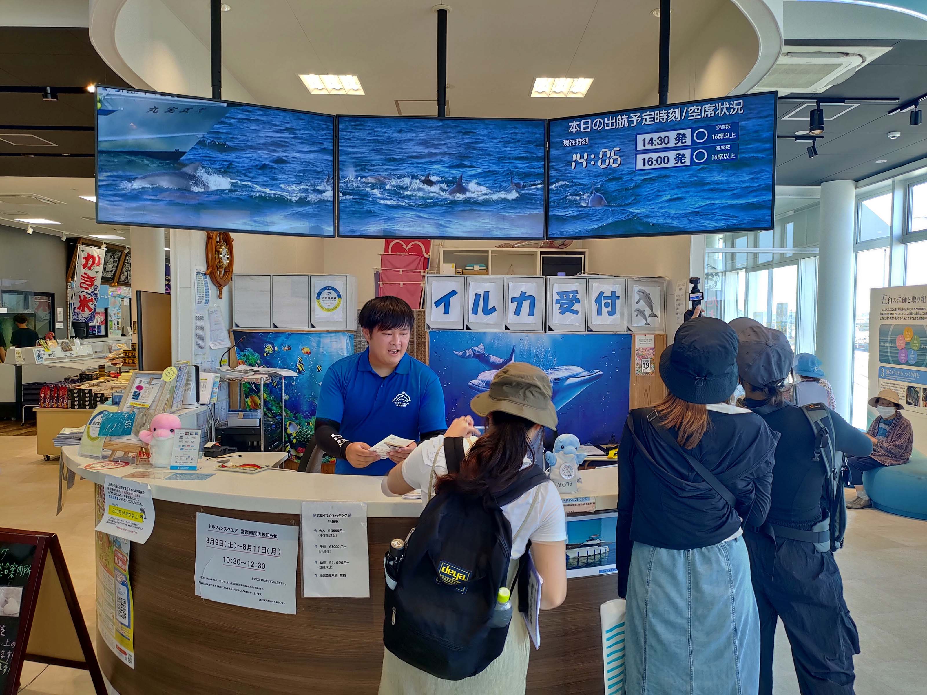 熊本天草┃95%遇見野生海豚跳的好高「天草海豚中心」200多頭超感動!「天草海鮮藏」吃最新鮮的海產 天草自駕 熊本直飛