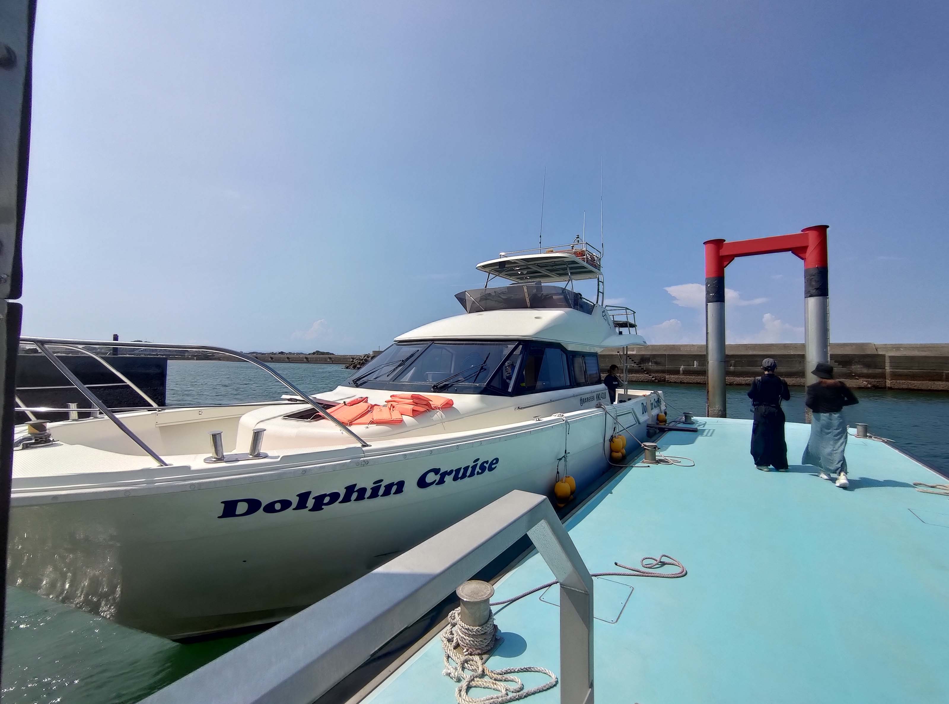 熊本天草┃95%遇見野生海豚跳的好高「天草海豚中心」200多頭超感動!「天草海鮮藏」吃最新鮮的海產 天草自駕 熊本直飛