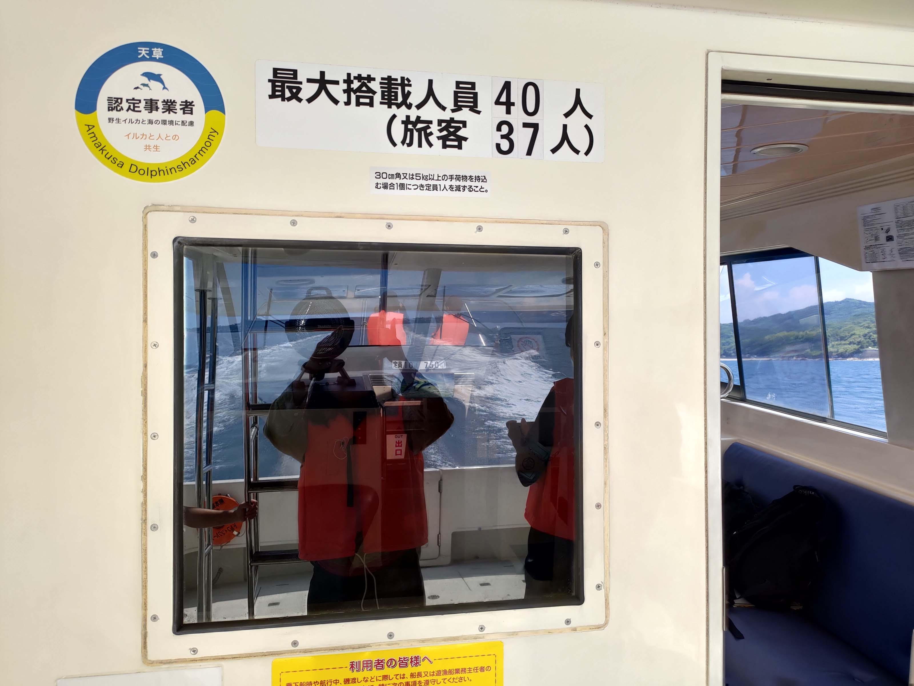 熊本天草┃95%遇見野生海豚跳的好高「天草海豚中心」200多頭超感動!「天草海鮮藏」吃最新鮮的海產 天草自駕 熊本直飛