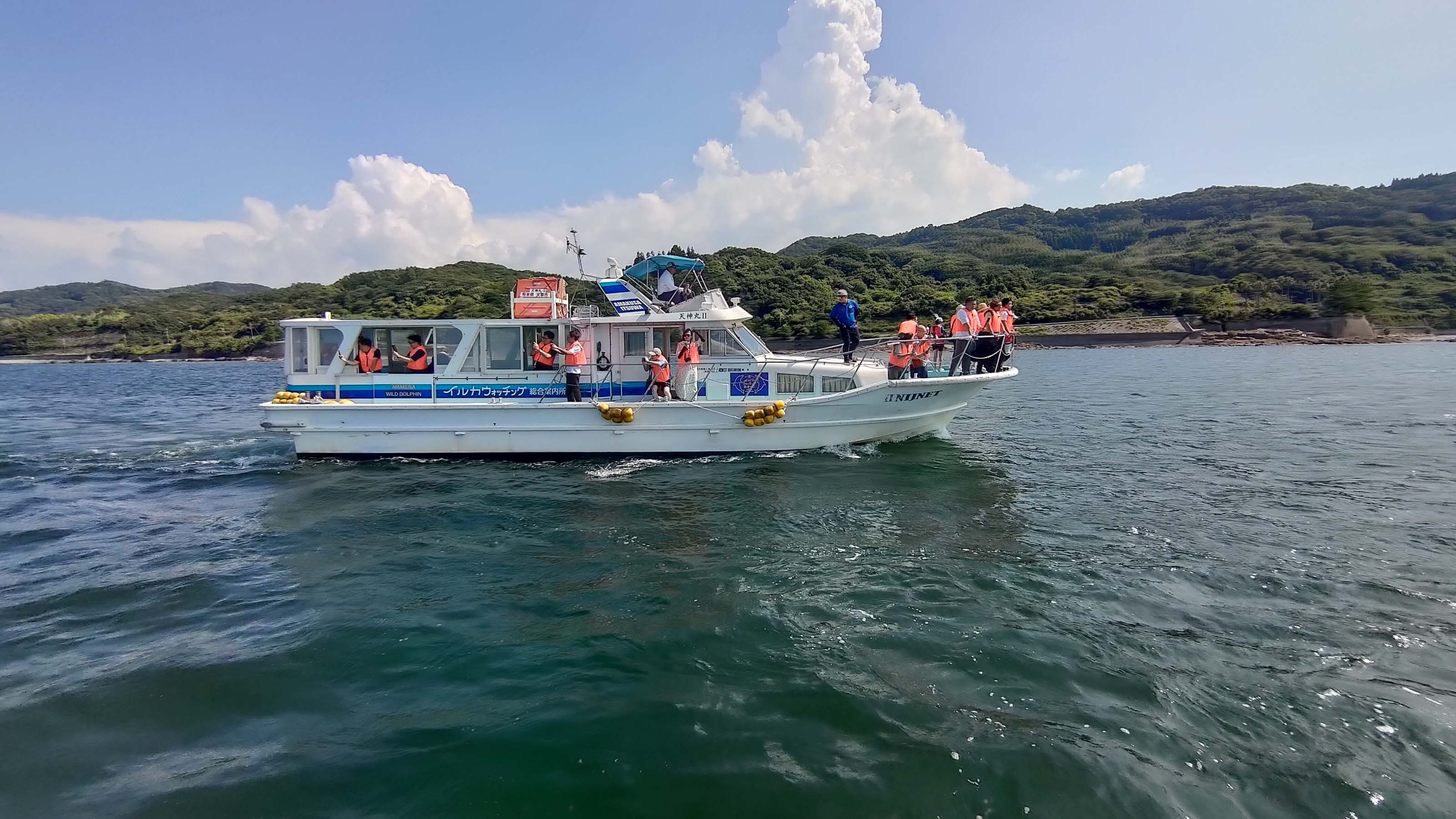 熊本天草┃95%遇見野生海豚跳的好高「天草海豚中心」200多頭超感動!「天草海鮮藏」吃最新鮮的海產 天草自駕 熊本直飛