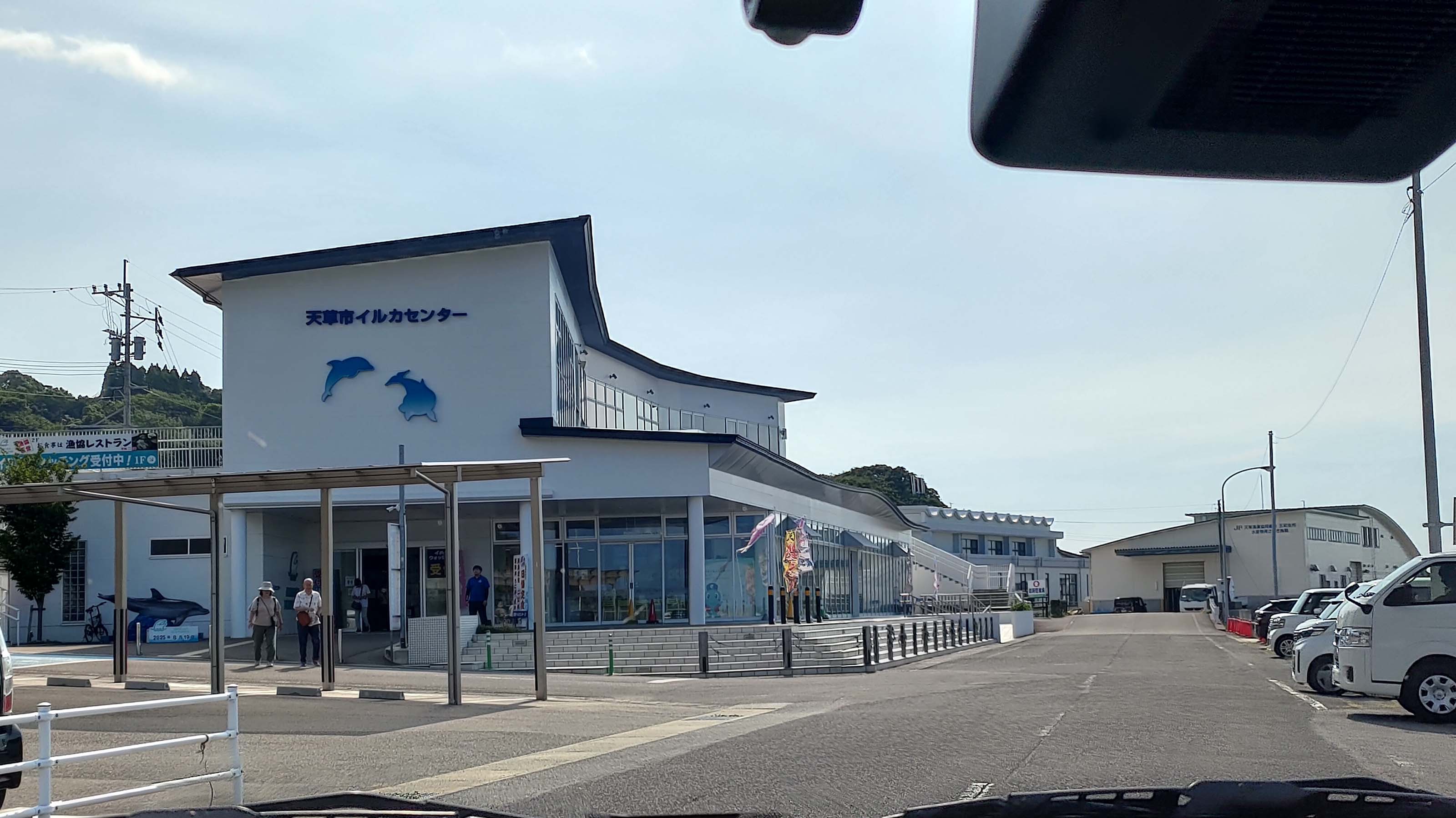 熊本天草┃95%遇見野生海豚跳的好高「天草海豚中心」200多頭超感動!「天草海鮮藏」吃最新鮮的海產 天草自駕 熊本直飛