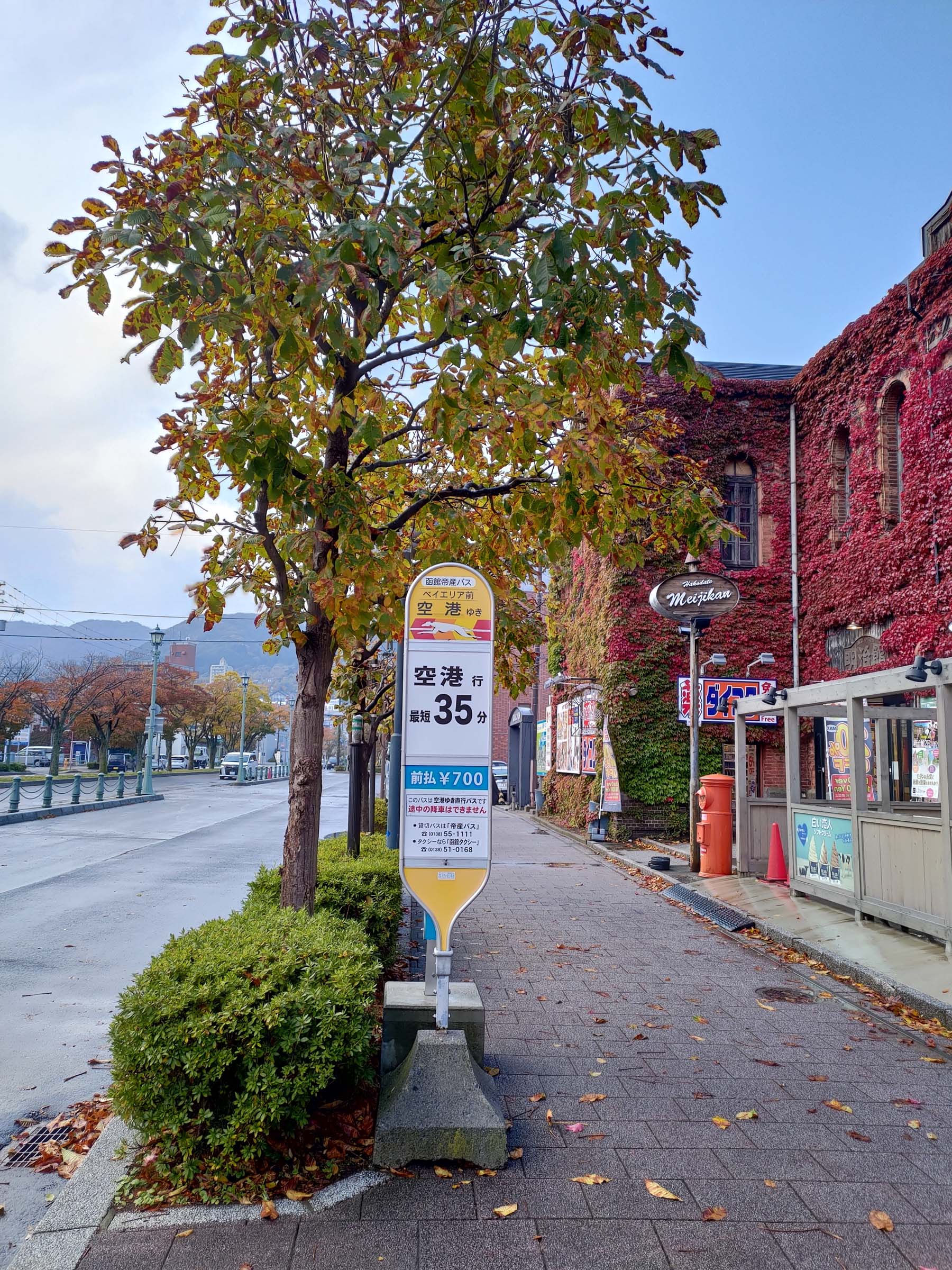 直飛函館自由行(美食上篇)┃JR函館站徒步吃飯 函館朝市吃海鮮 烏賊清居酒屋 排隊函館鹽味拉麵 鹿羊烤肉 北海道自由行