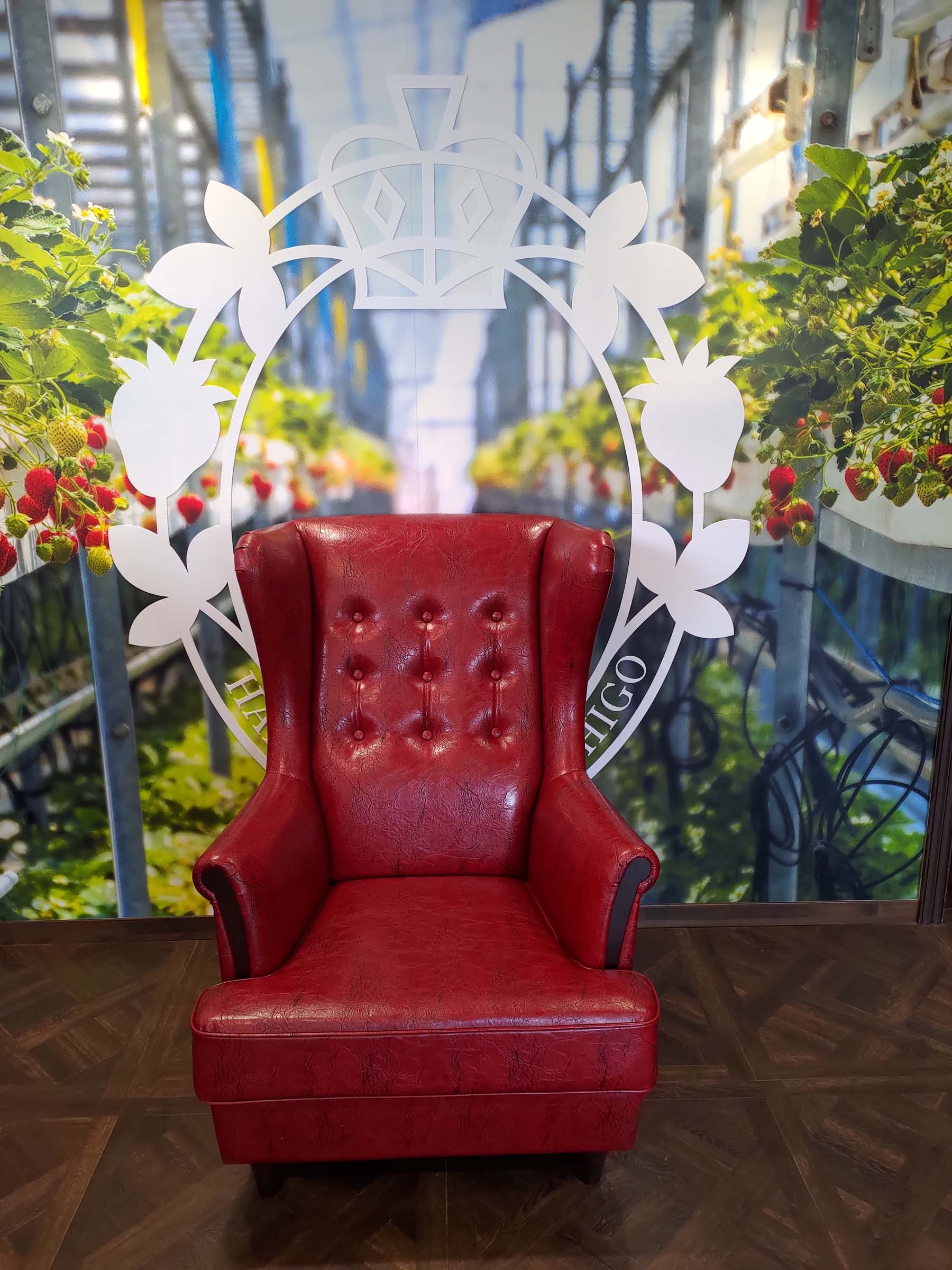 函館五日自由行賞楓┃虎航直飛 函館站RESOL飯店！特級套票路面電車走遍五稜郭 金森倉庫 函館山夜景元町 朝市海鮮 北海道自駕