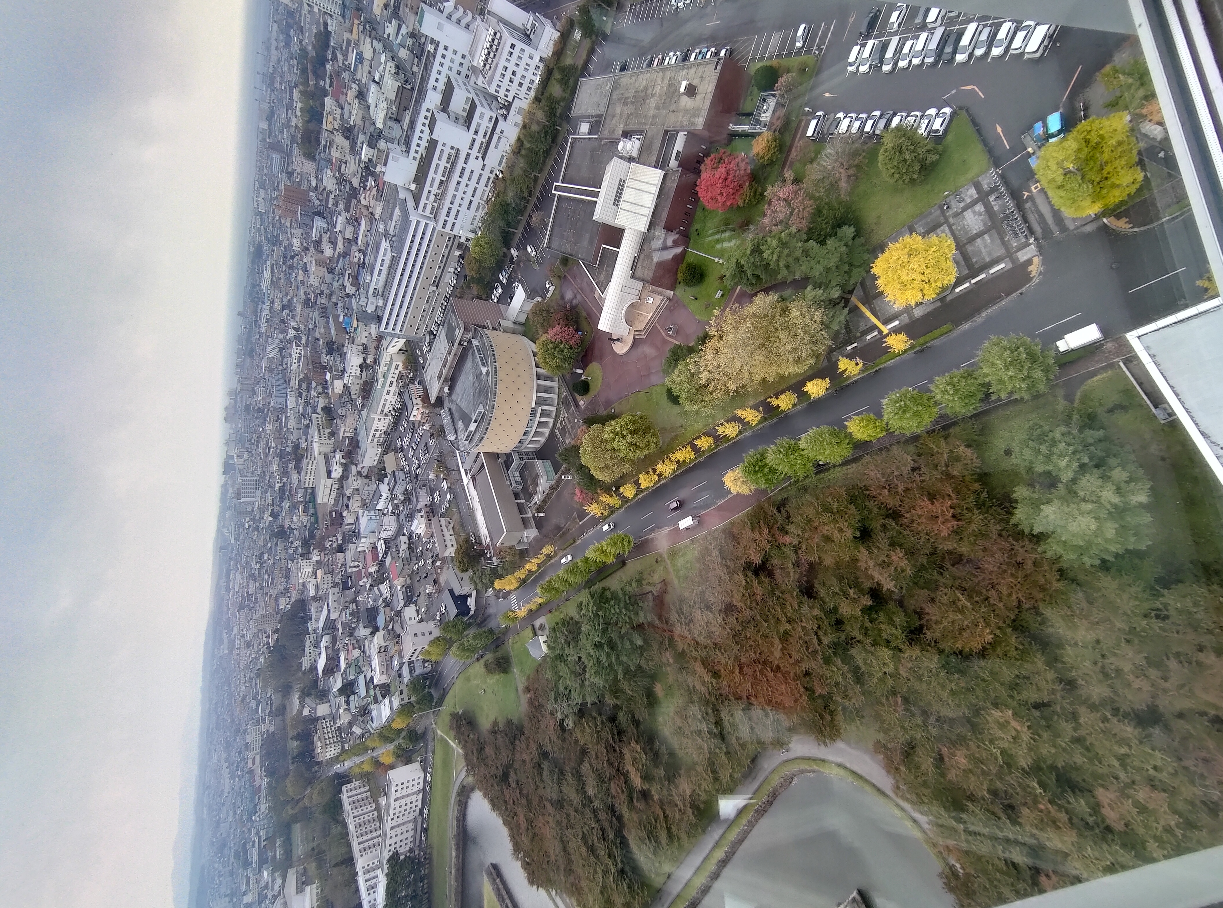 函館五日自由行賞楓┃虎航直飛 函館站RESOL飯店！特級套票路面電車走遍五稜郭 金森倉庫 函館山夜景元町 朝市海鮮 北海道自駕