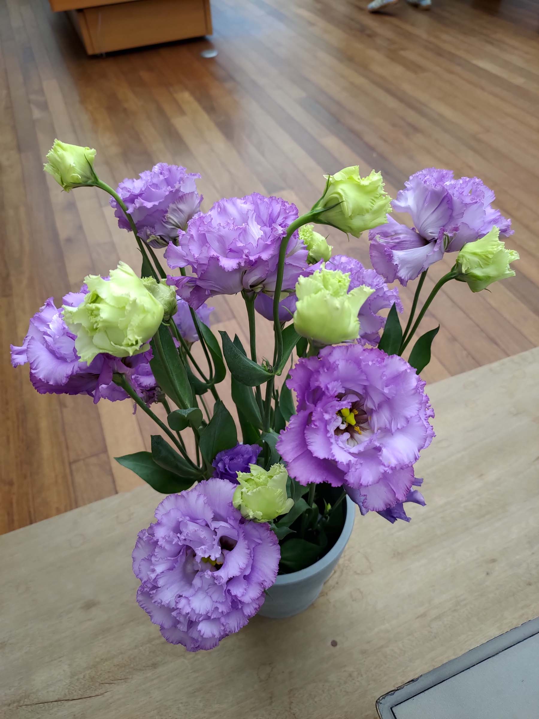 函館五日自由行賞楓┃虎航直飛 函館站RESOL飯店！特級套票路面電車走遍五稜郭 金森倉庫 函館山夜景元町 朝市海鮮 北海道自駕