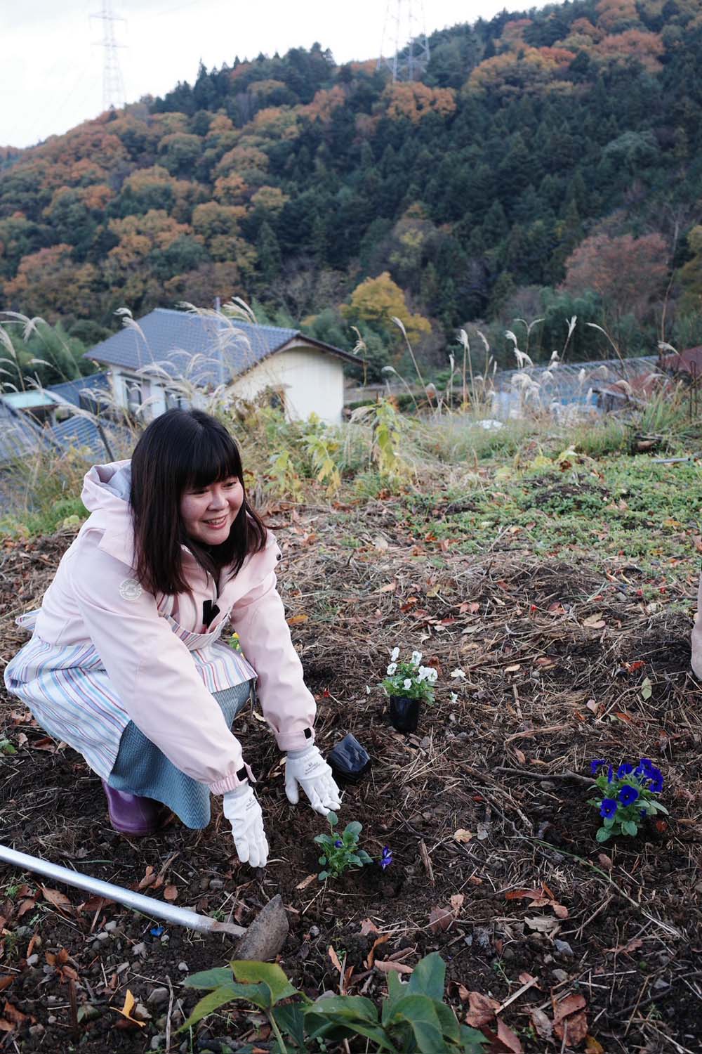 德島美馬農泊｜農家民宿中島 山上秋楓一泊二食 跟著奶奶種花拔菜包水餃 免費接送與預約方法 看板狗狗迎接 四國民宿 德島住宿