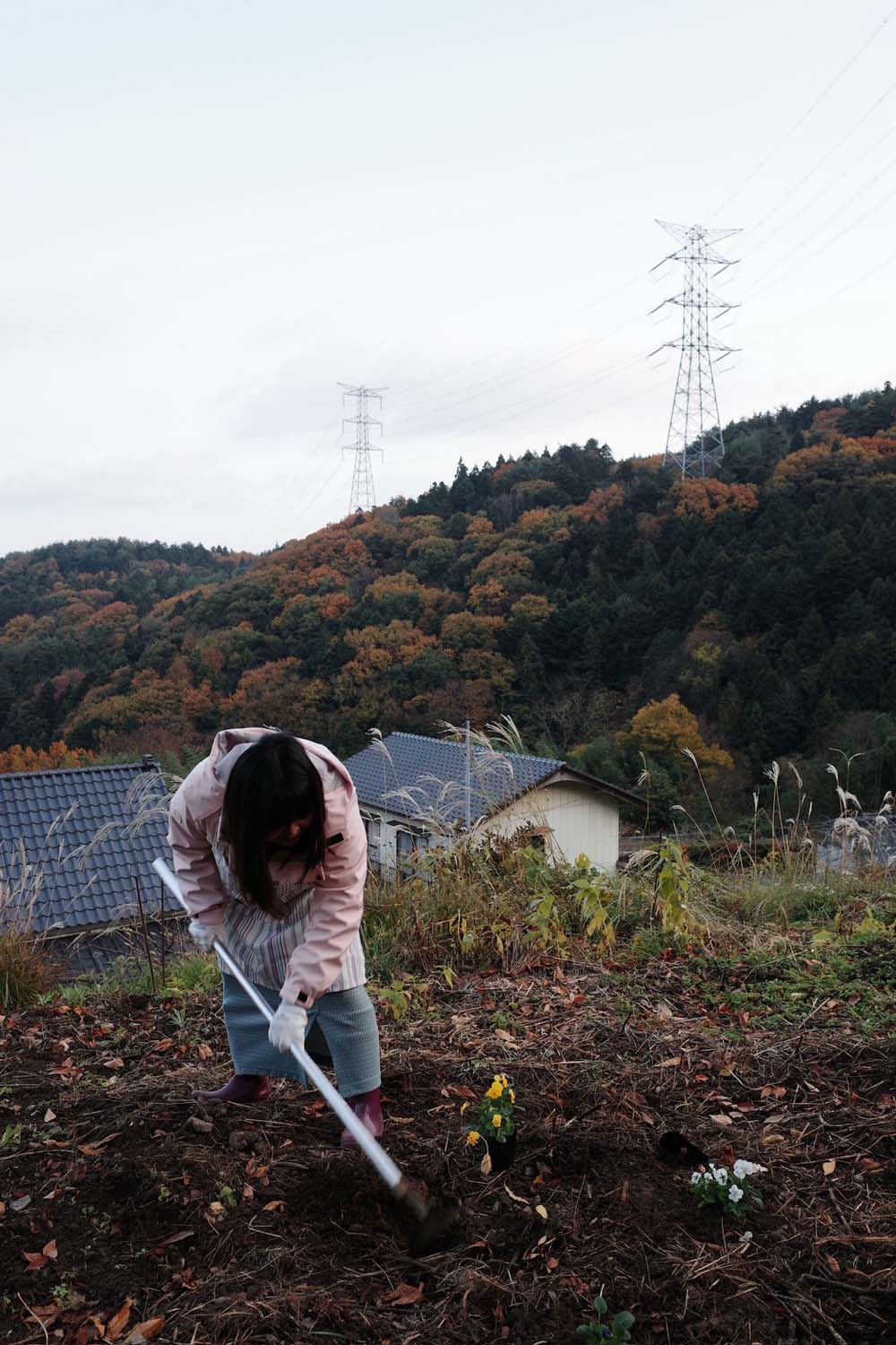 德島美馬農泊｜農家民宿中島 山上秋楓一泊二食 跟著奶奶種花拔菜包水餃 免費接送與預約方法 看板狗狗迎接 四國民宿 德島住宿