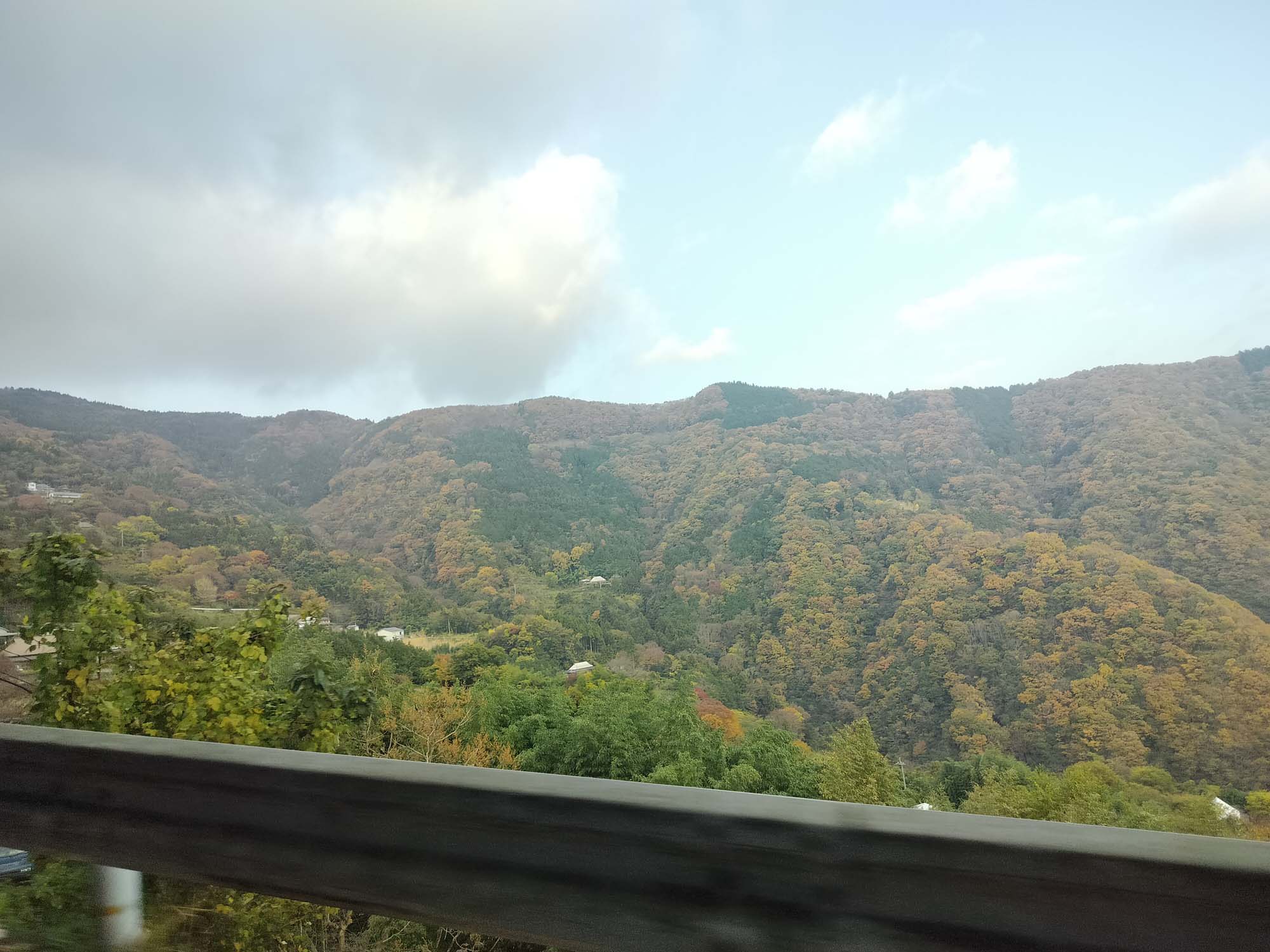 德島美馬農泊｜農家民宿中島 山上秋楓一泊二食 跟著奶奶種花拔菜包水餃 免費接送與預約方法 看板狗狗迎接 四國民宿 德島住宿