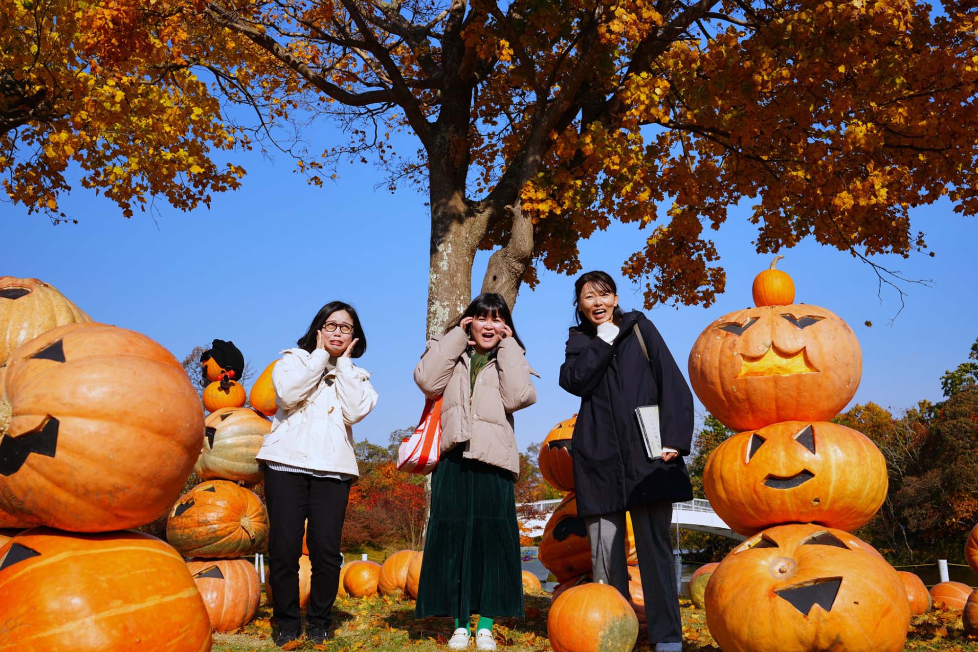 函館景點下篇|秋楓郊外大沼公園遊覽船 鹿部間歇泉道之站噴泉 五稜乃藏酒造 湯倉神社 見晴公園 女子修道院 再訪函館 函館自由行 - 第16張圖 函館景點下篇|秋楓郊外大沼公園遊覽船 鹿部間歇泉道之站噴泉 五稜乃藏酒造 湯倉神社 見晴公園 女子修道院 再訪函館 函館自由行