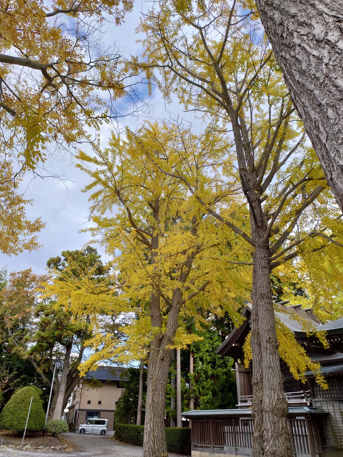 函館景點下篇|秋楓郊外大沼公園遊覽船 鹿部間歇泉道之站噴泉 五稜乃藏酒造 湯倉神社 見晴公園 女子修道院 再訪函館 函館自由行 - 第36張圖 函館景點下篇|秋楓郊外大沼公園遊覽船 鹿部間歇泉道之站噴泉 五稜乃藏酒造 湯倉神社 見晴公園 女子修道院 再訪函館 函館自由行