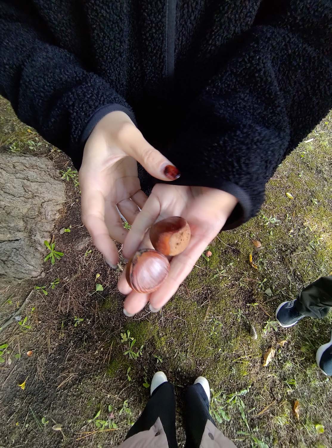 函館景點下篇|秋楓郊外大沼公園遊覽船 鹿部間歇泉道之站噴泉 五稜乃藏酒造 湯倉神社 見晴公園 女子修道院 再訪函館 函館自由行 - 第54張圖 函館景點下篇|秋楓郊外大沼公園遊覽船 鹿部間歇泉道之站噴泉 五稜乃藏酒造 湯倉神社 見晴公園 女子修道院 再訪函館 函館自由行
