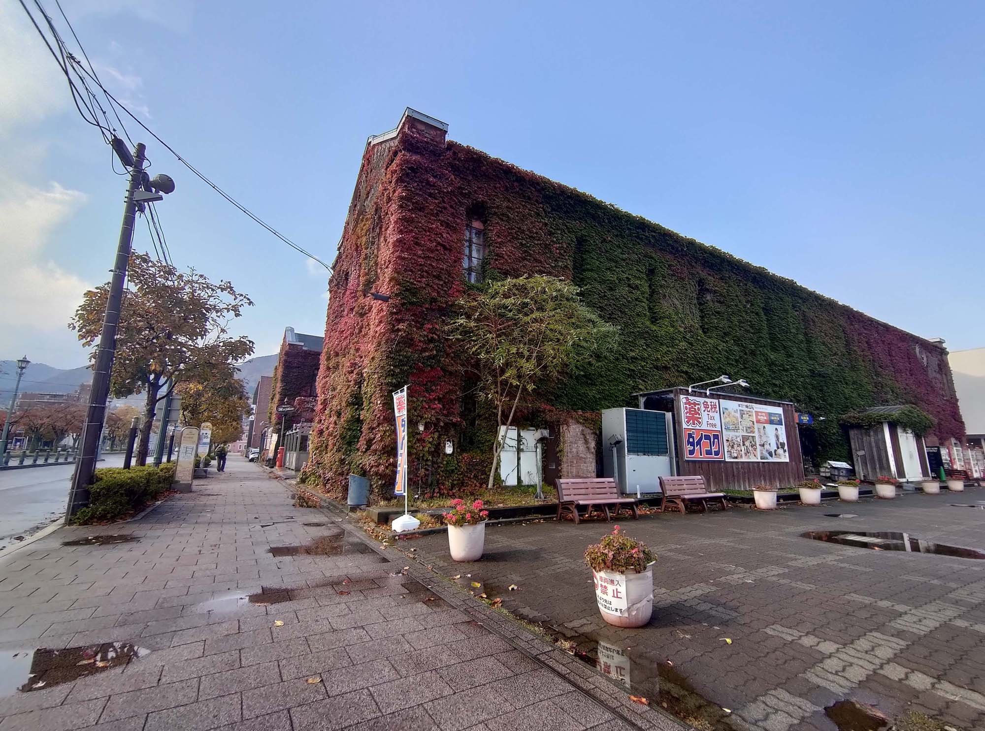 函館景點中篇｜秋楓城市漫旅五稜郭公園 金森紅磚倉庫散策 立待岬海角風景 函館必去景點 北海道直飛函館 函館自駕函館自由行