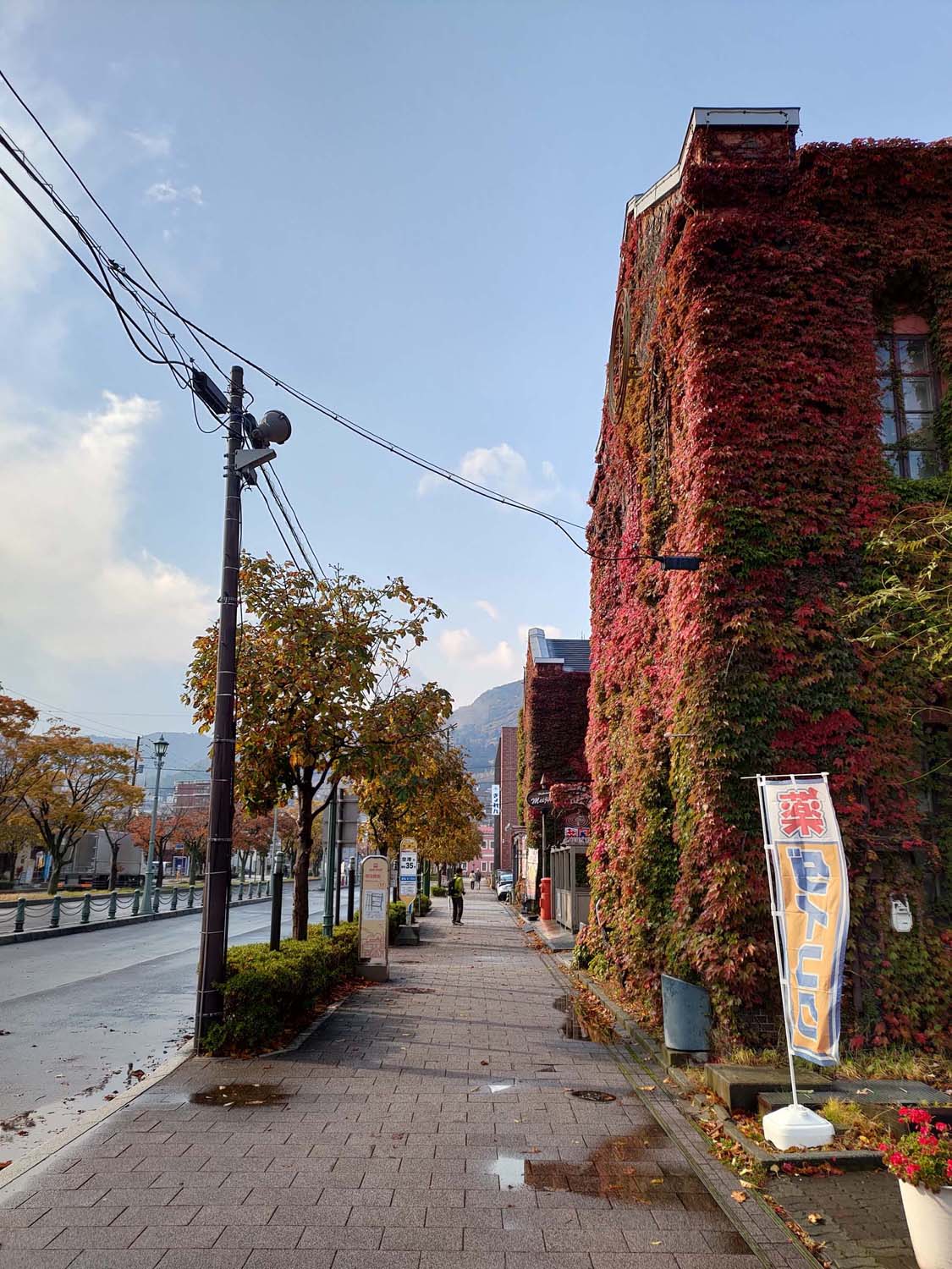 函館景點中篇｜秋楓城市漫旅五稜郭公園 金森紅磚倉庫散策 立待岬海角風景 函館必去景點 北海道直飛函館 函館自駕函館自由行