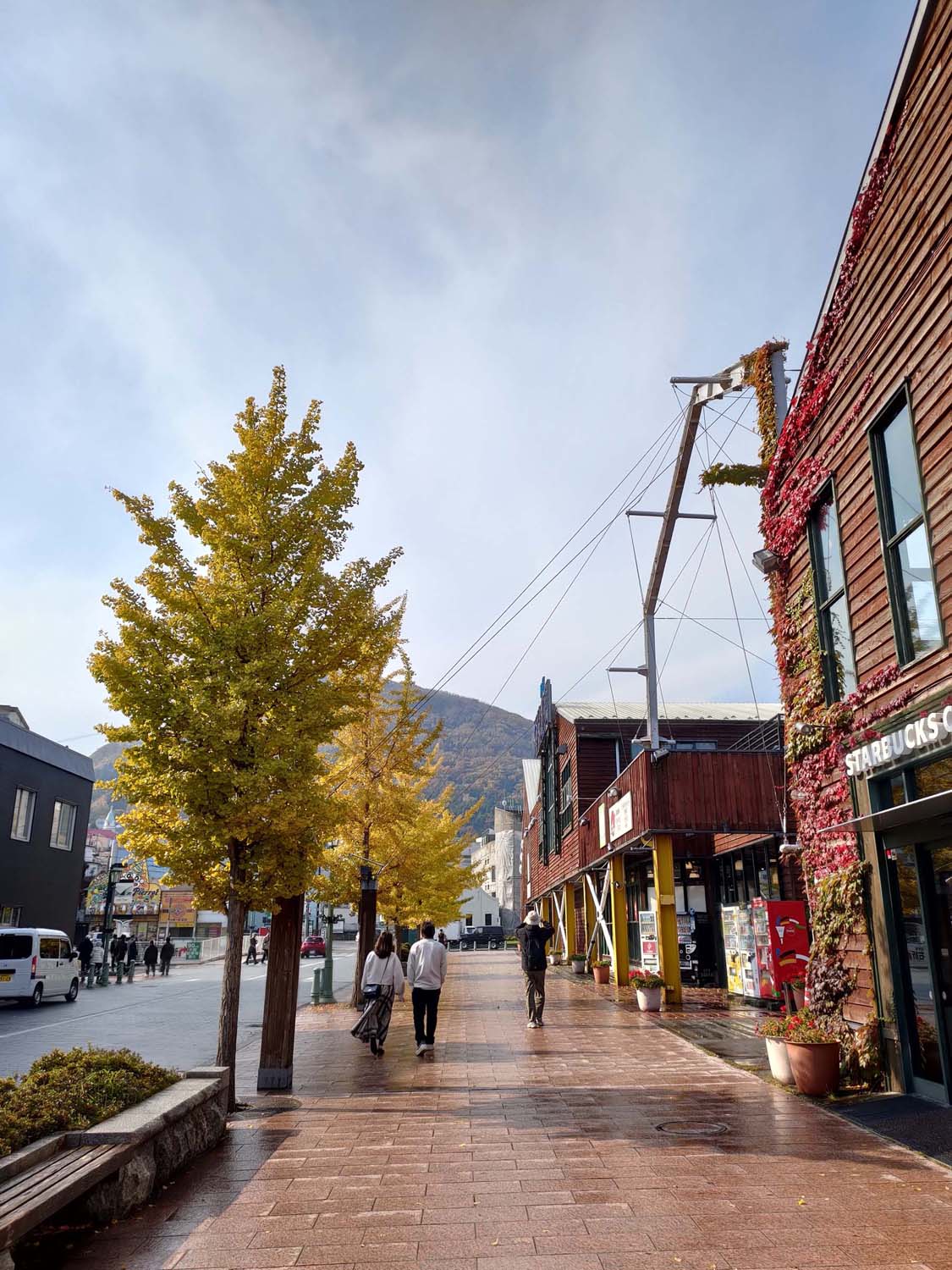 函館景點中篇｜秋楓城市漫旅五稜郭公園 金森紅磚倉庫散策 立待岬海角風景 函館必去景點 北海道直飛函館 函館自駕函館自由行