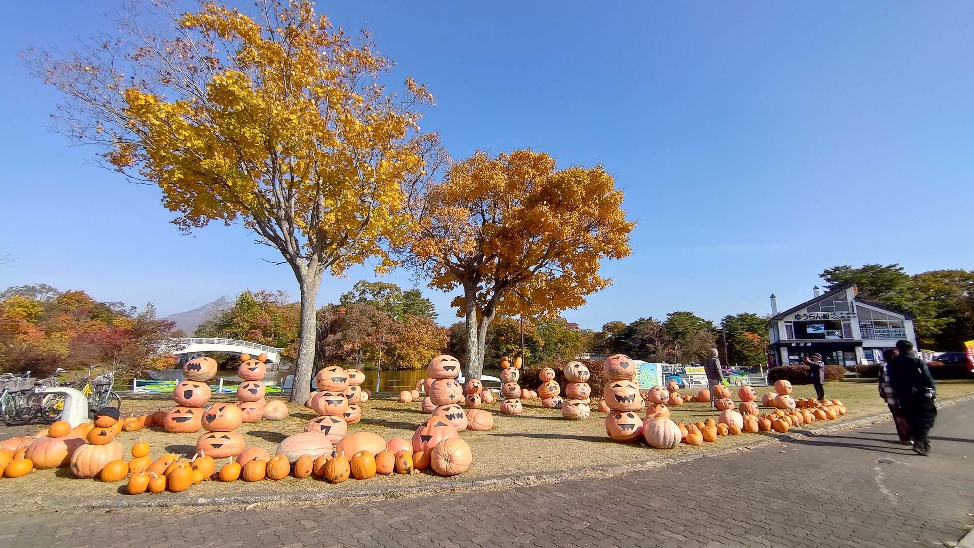 函館景點｜秋楓超美!大沼國定公園遊覽船賞北海道駒岳 四季都美 函館郊外 JR大沼公園站 函館直飛 函館自由行 北海道景點