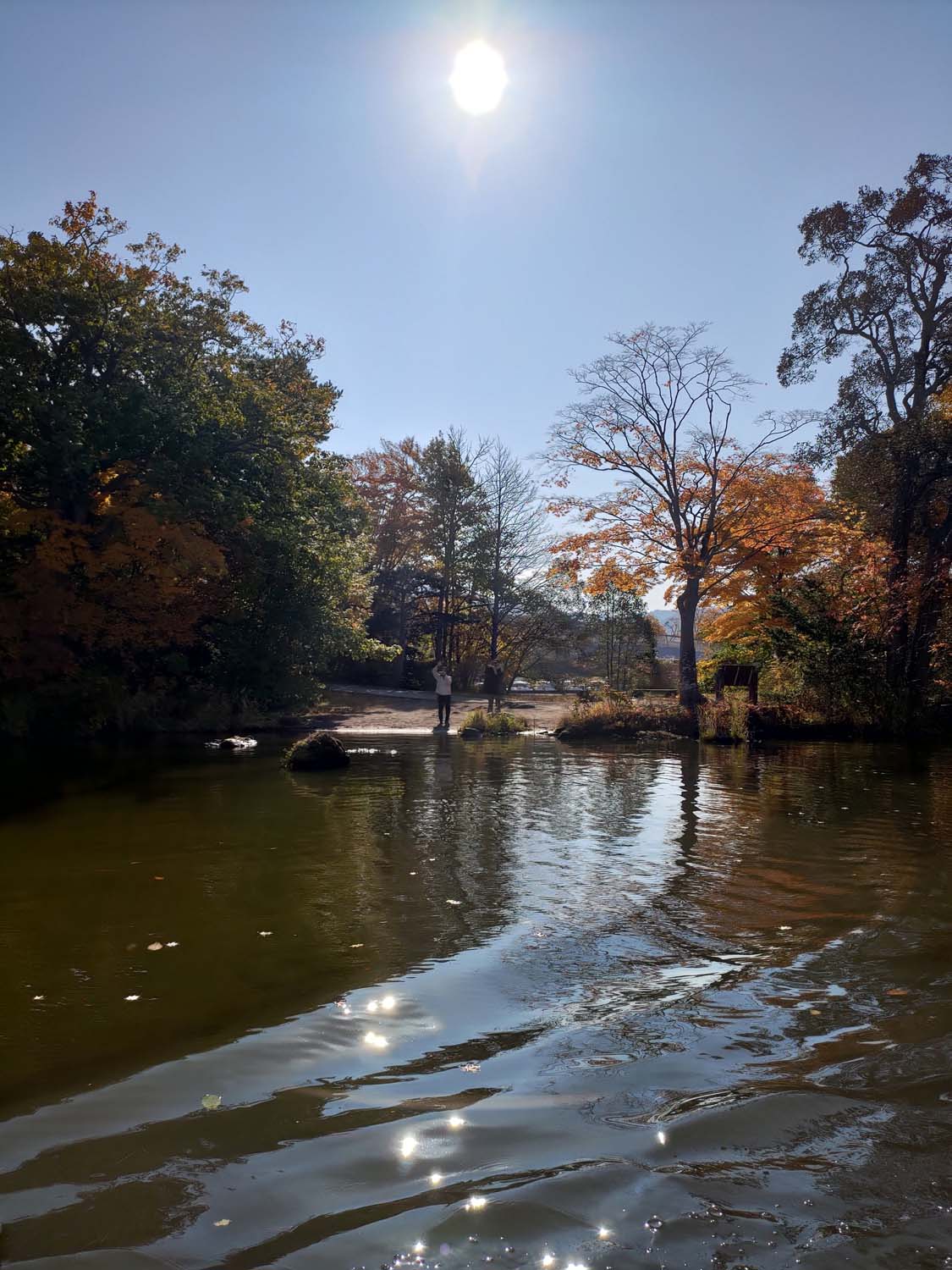 函館景點｜秋楓超美!大沼國定公園遊覽船賞北海道駒岳 四季都美 函館郊外 JR大沼公園站 函館直飛 函館自由行 北海道景點