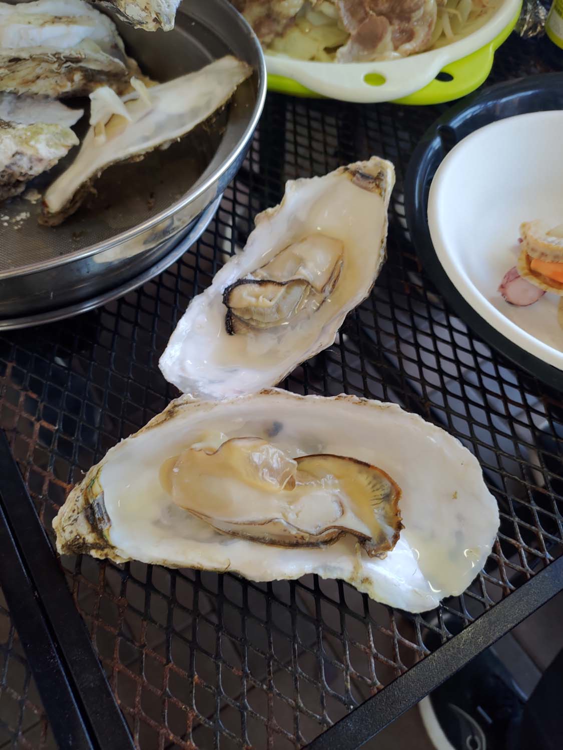 直飛函館自由行(美食下篇)┃一文字拉麵必吃 經典美鈴咖啡 鹿部間歇泉蒸料理天然噴泉 久保田牧場冰淇淋 北海道自駕 函館美食