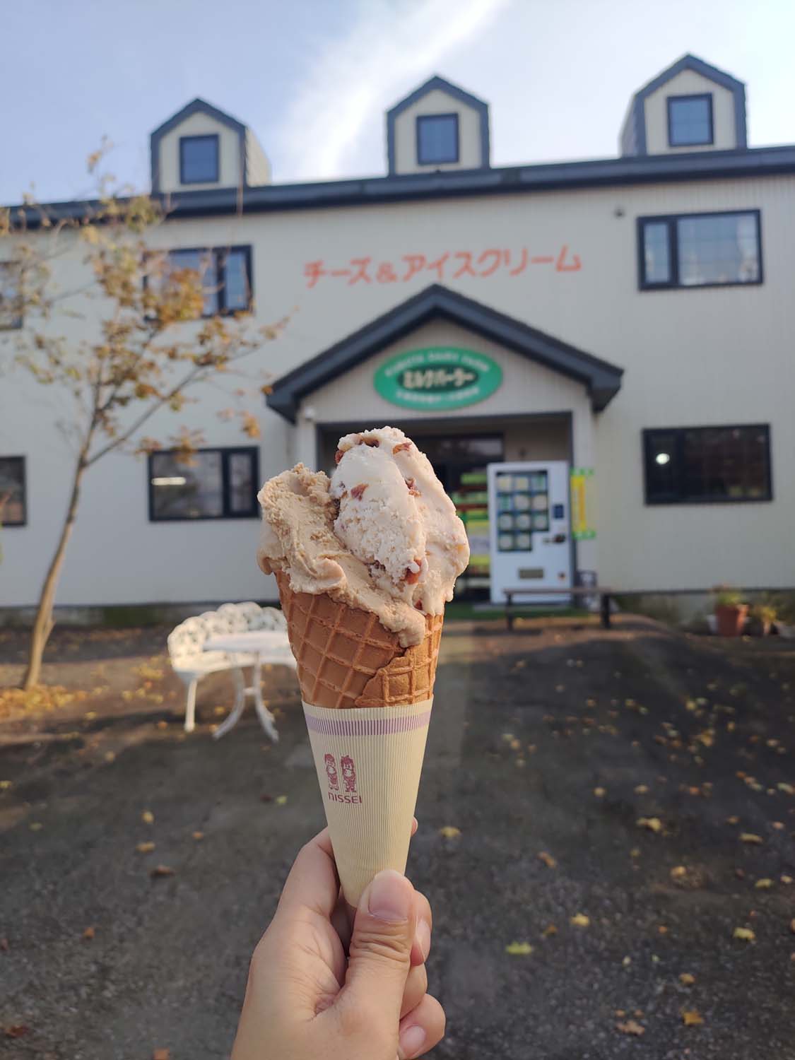 直飛函館自由行(美食下篇)┃一文字拉麵必吃 經典美鈴咖啡 鹿部間歇泉蒸料理天然噴泉 久保田牧場冰淇淋 北海道自駕 函館美食