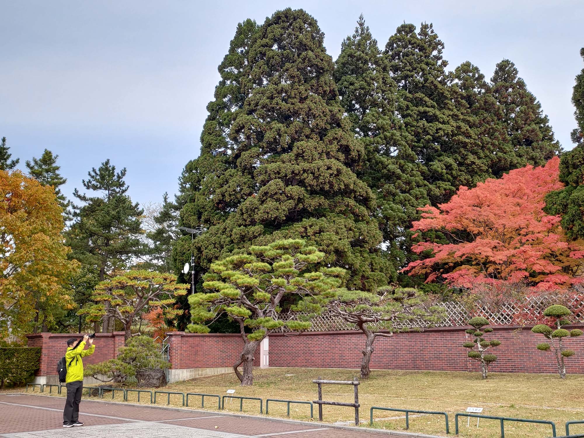 函館景點下篇|秋楓郊外大沼公園遊覽船 鹿部間歇泉道之站噴泉 五稜乃藏酒造 湯倉神社 見晴公園 女子修道院 再訪函館 函館自由行 - 第50張圖 函館景點下篇|秋楓郊外大沼公園遊覽船 鹿部間歇泉道之站噴泉 五稜乃藏酒造 湯倉神社 見晴公園 女子修道院 再訪函館 函館自由行