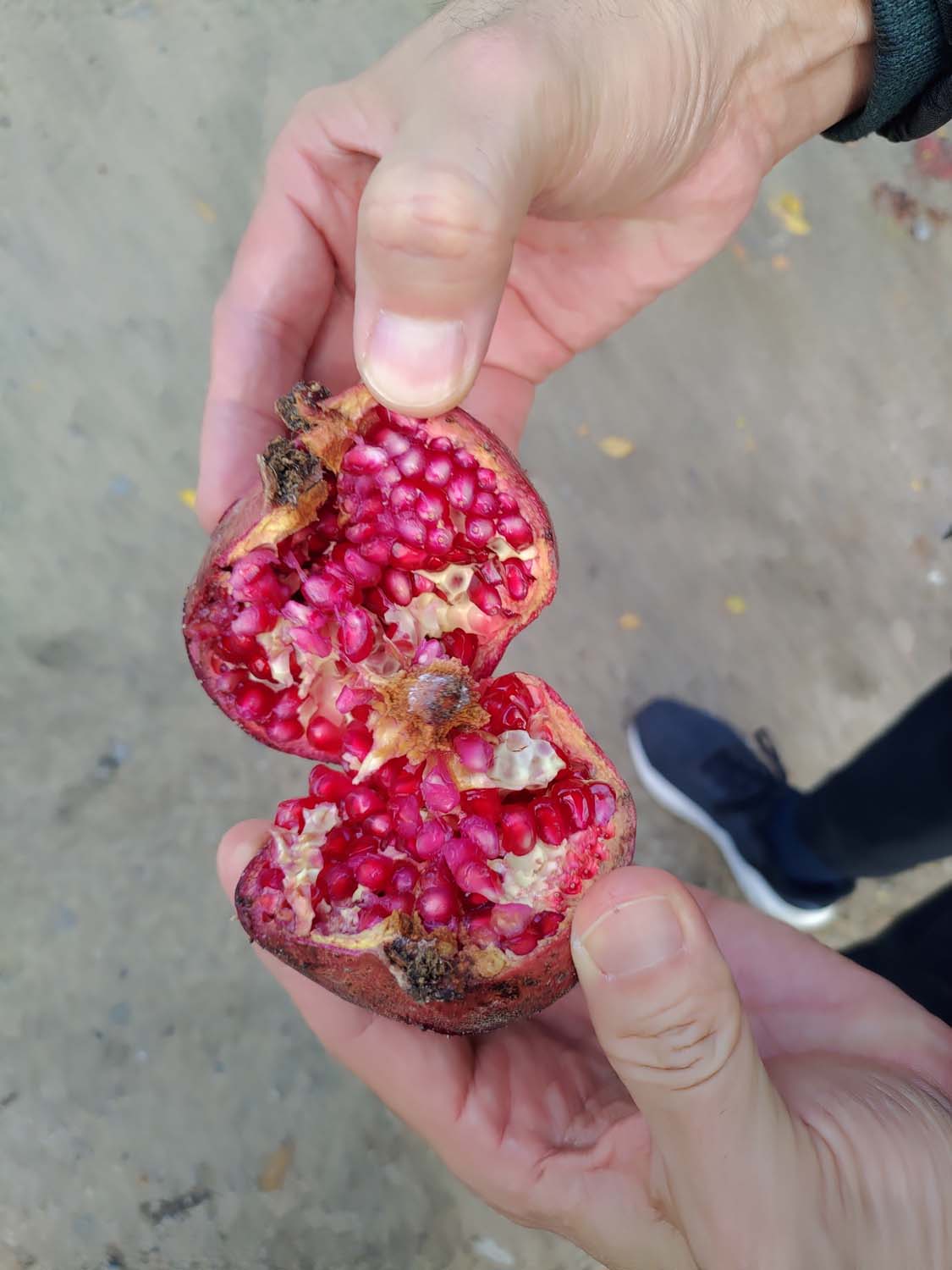 香川讚岐市住宿｜JR四國古民家「4S STAY鈴音」座落山景櫻花一日限定一組包棟 一泊二食橄欖牛涮涮鍋 86遍路志度寺 香川自駕