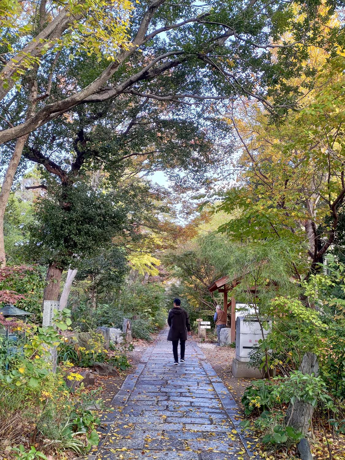 香川讚岐市住宿｜JR四國古民家「4S STAY鈴音」座落山景櫻花一日限定一組包棟 一泊二食橄欖牛涮涮鍋 86遍路志度寺 香川自駕