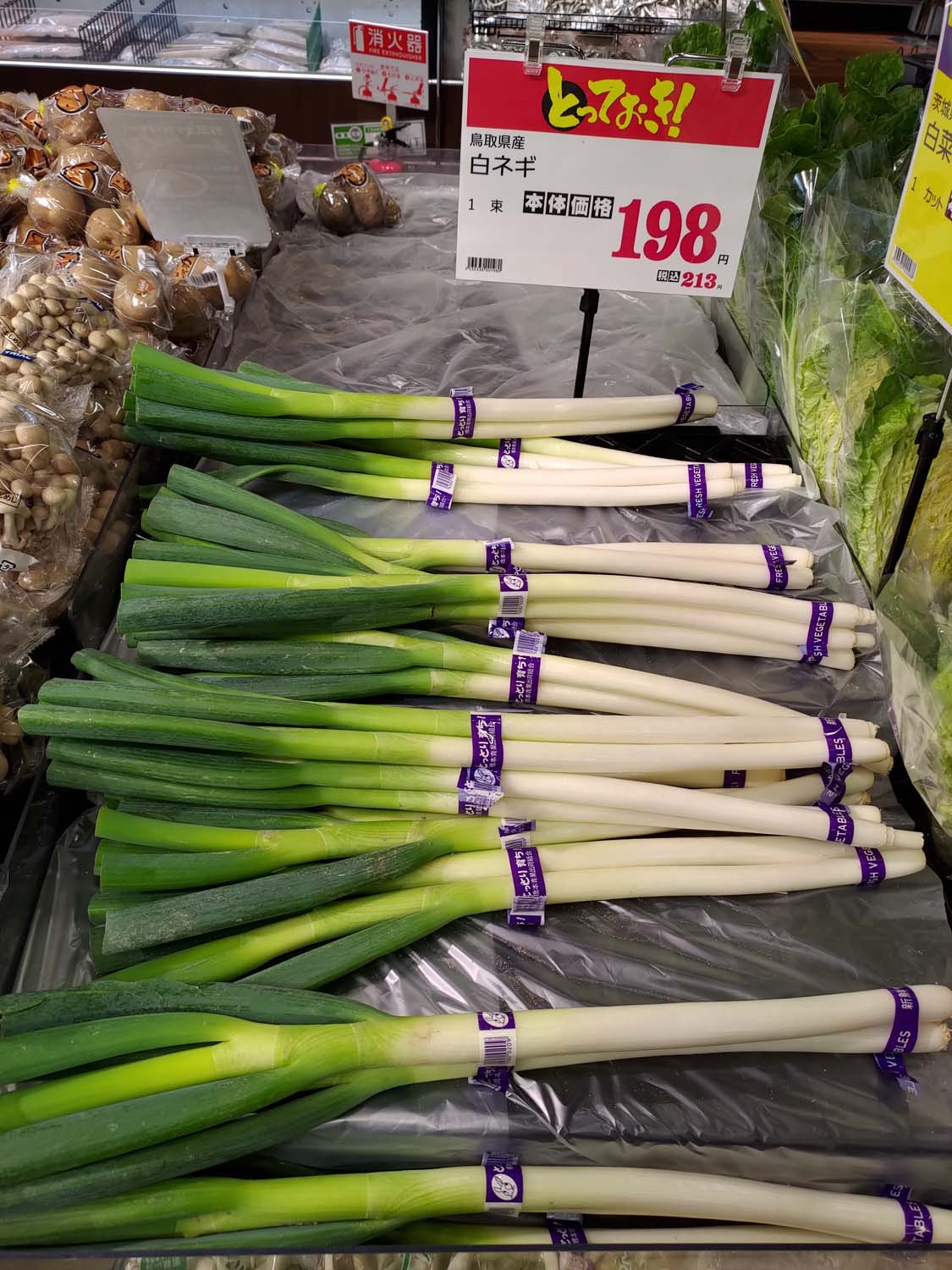 香川讚岐市住宿｜JR四國古民家「4S STAY鈴音」座落山景櫻花一日限定一組包棟 一泊二食橄欖牛涮涮鍋 86遍路志度寺 香川自駕